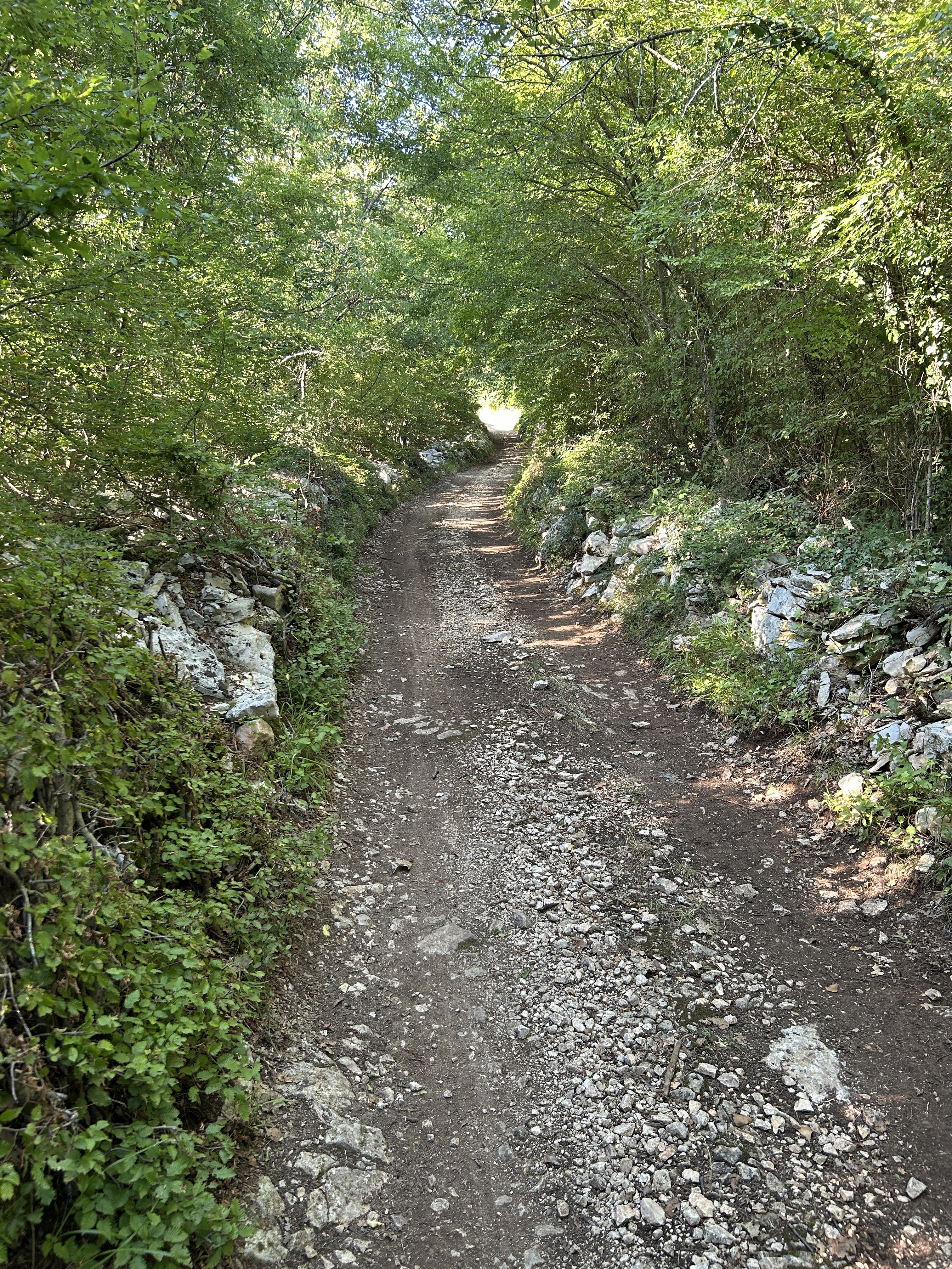 Državna Cesta 75, Jural nach Rovinj V, Rovinj