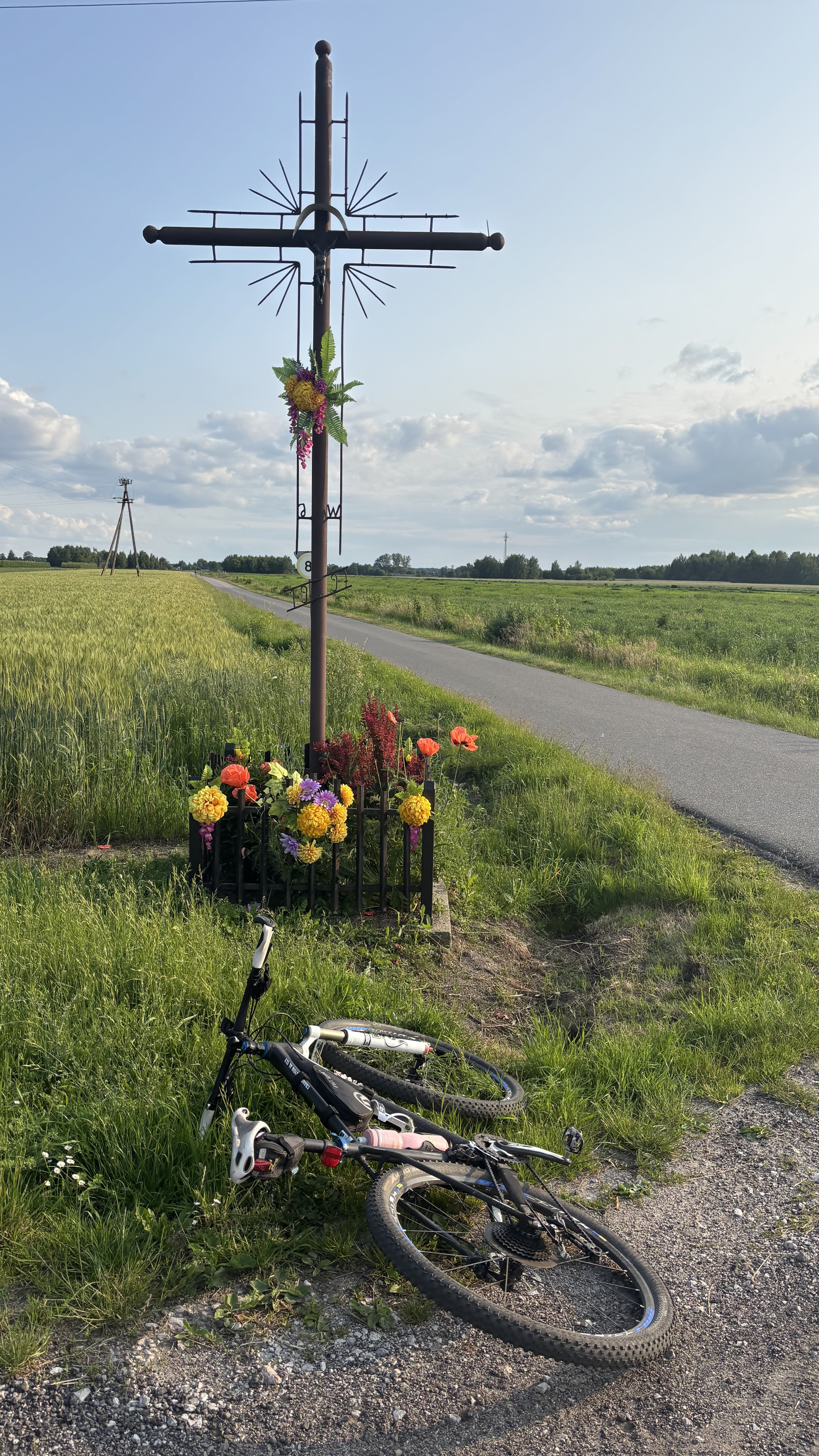 Foto 8 der Bikemap-Route "Króla J Sobieskiego, Puszcza Mariańska do Króla J Sobieskiego, Puszcza Mariańska"