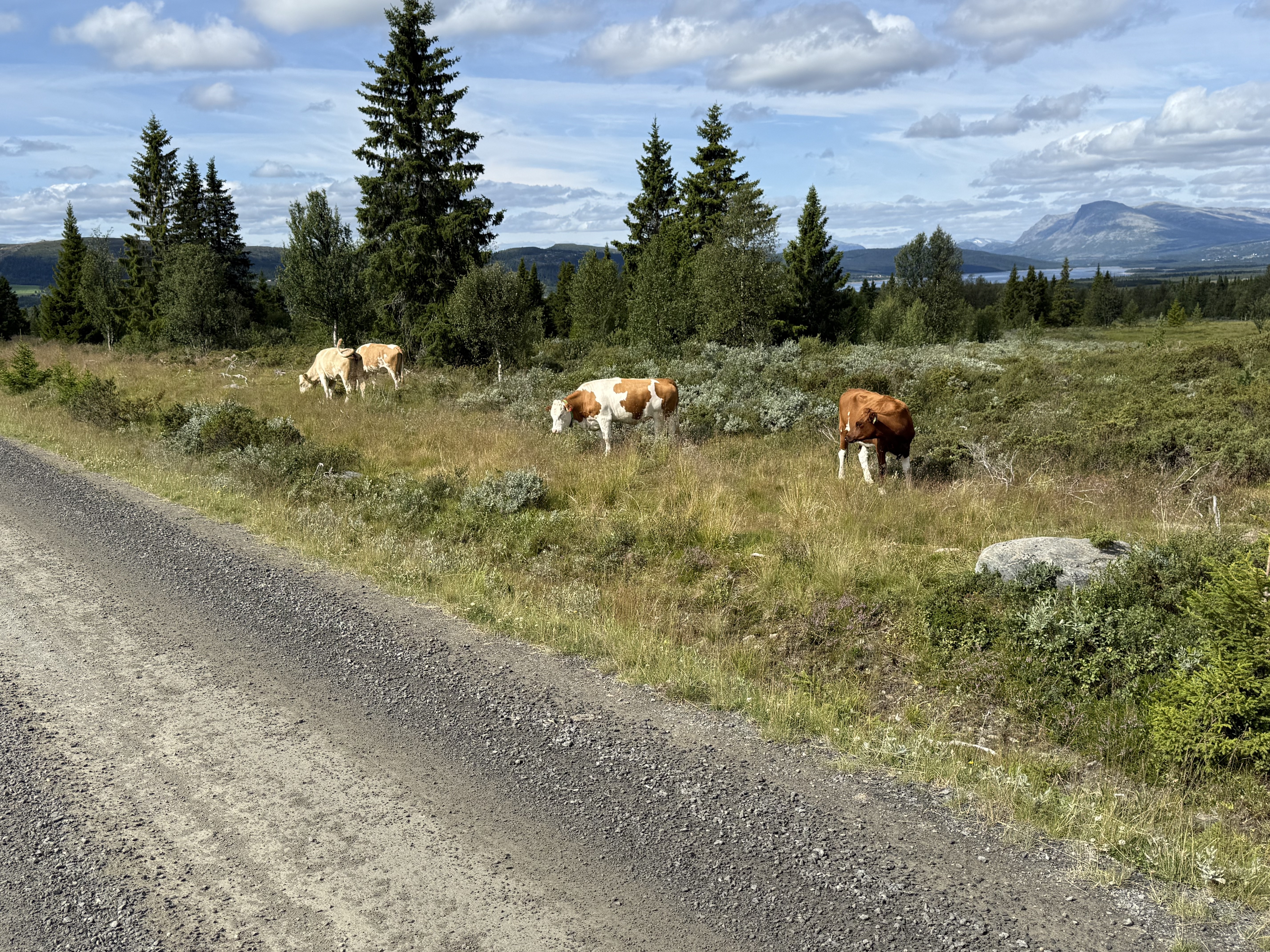 Valtjednvegen, Røn to Valtjednvegen, Røn