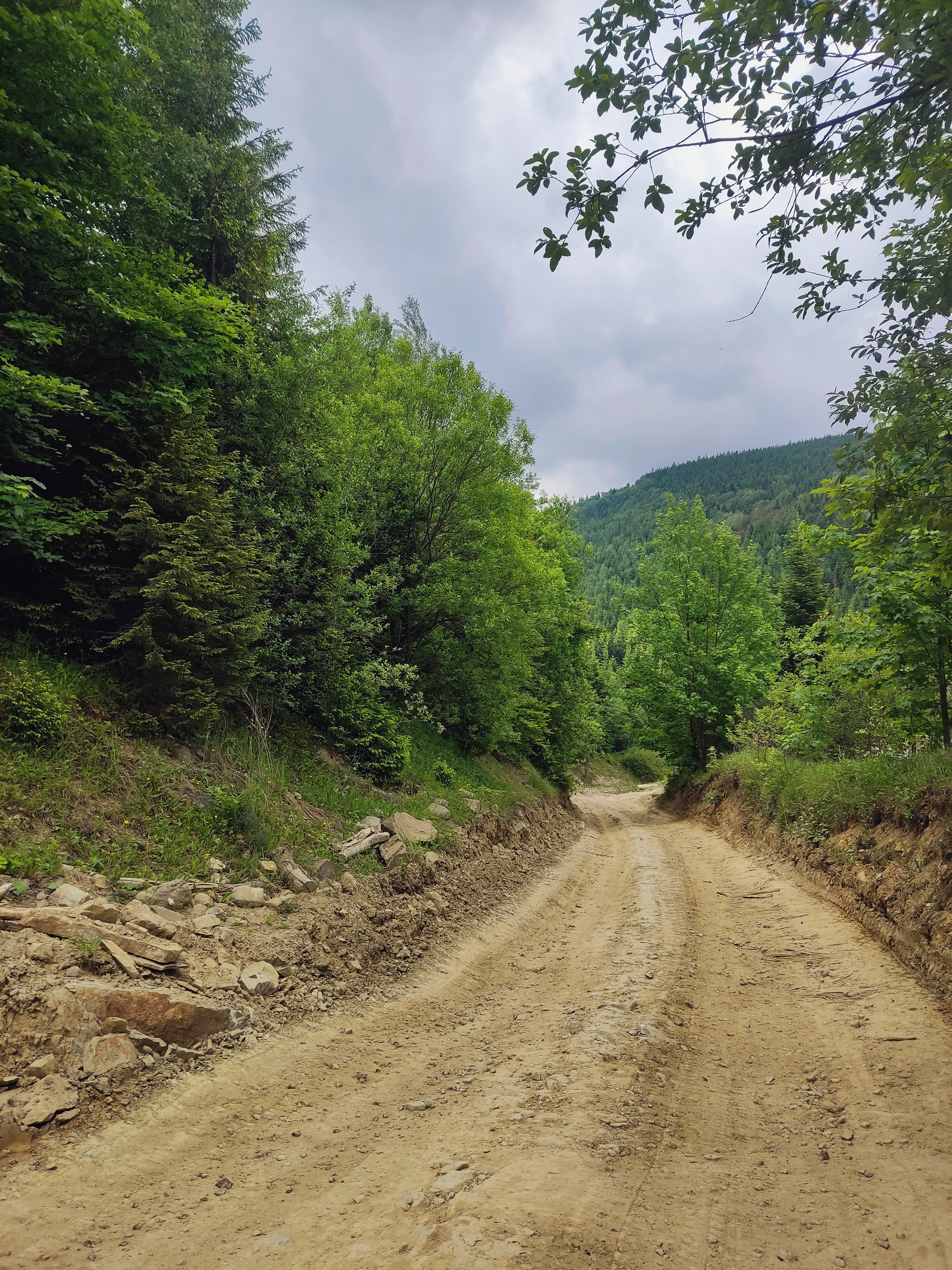 Photo 8 of the Bikemap route "Татарів - Микуличин - Космач - Шепіт - Білоберізка"