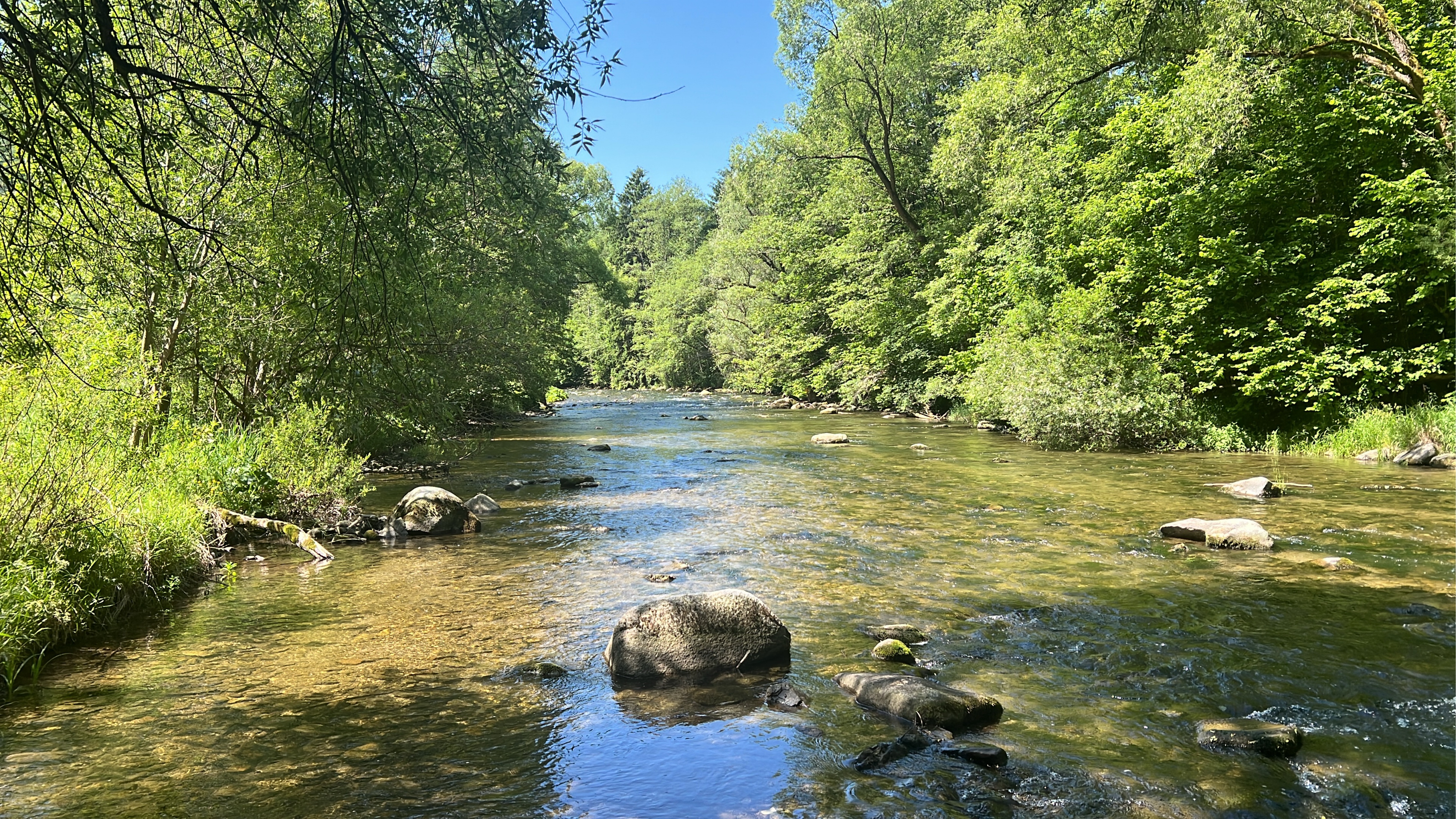 Korytnická, Ružomberok až Cesta 59, Ružomberok