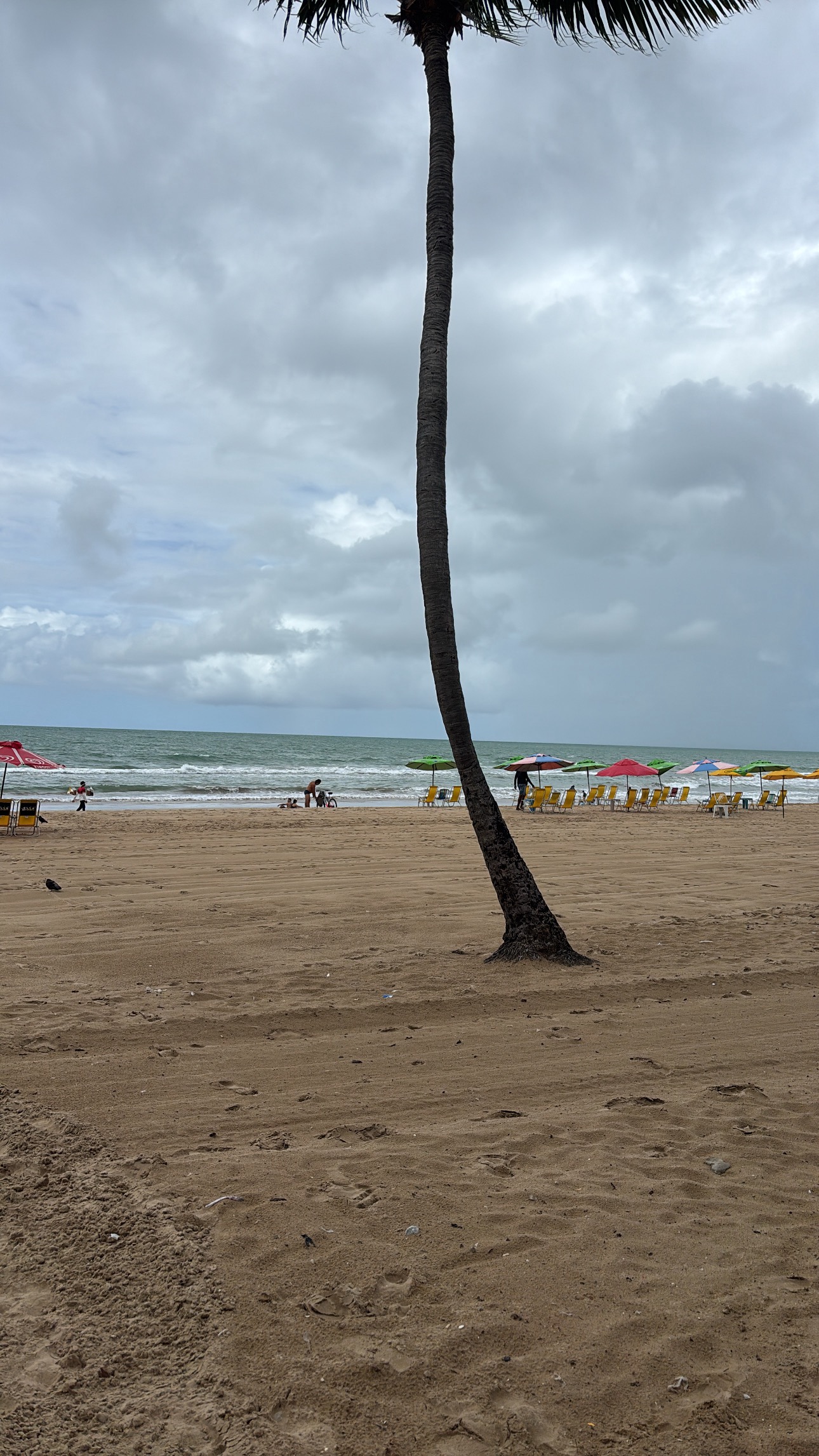 Zdjęcie 7 trasy Bikemap „Rua Real da Torre, Recife a Rua José Higino, Recife” Zdjęcie 7 trasy Bikemap „Rua Real da Torre, Recife a Rua José Higino, Recife”