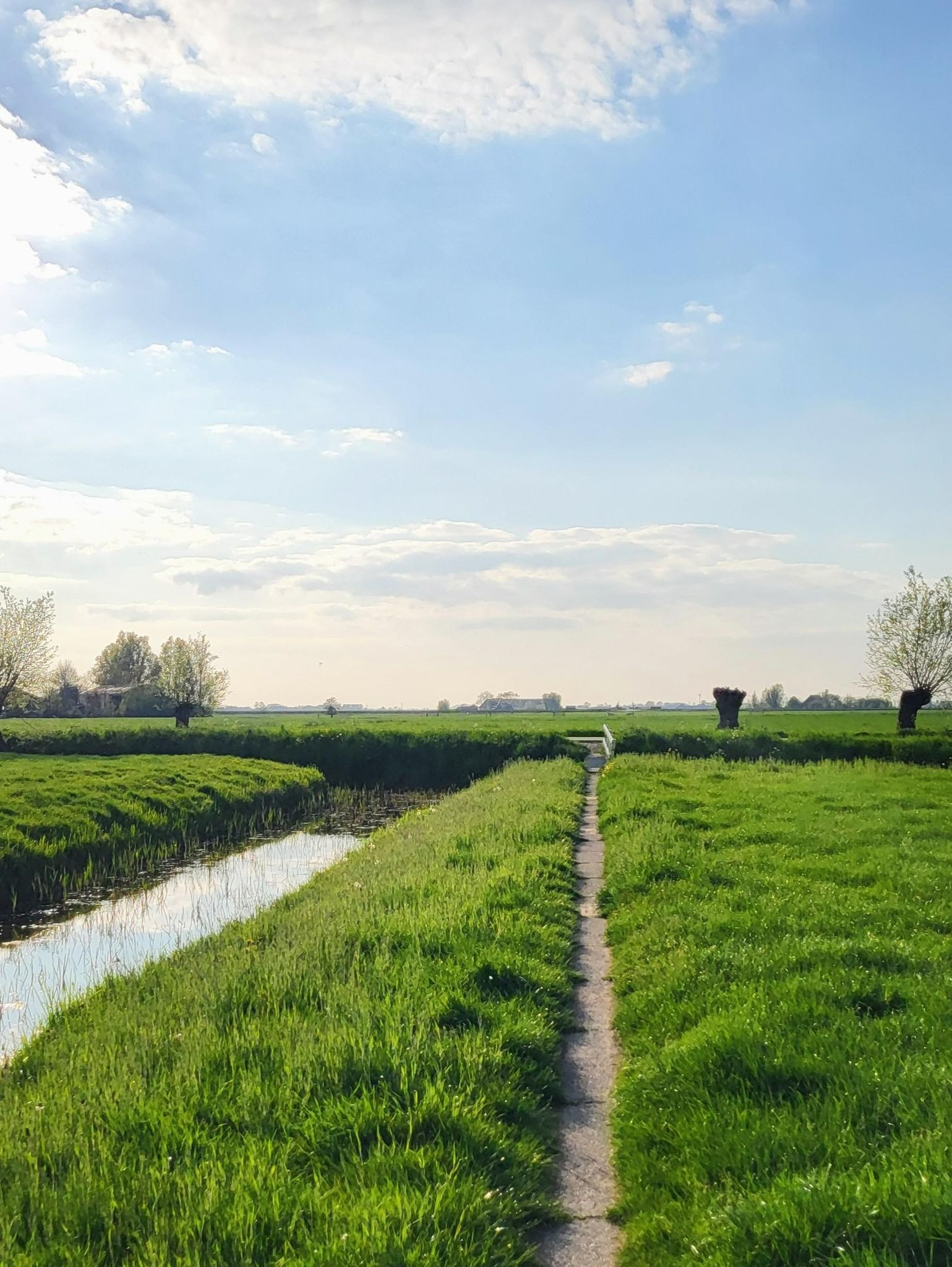 small bicycle paths along the water