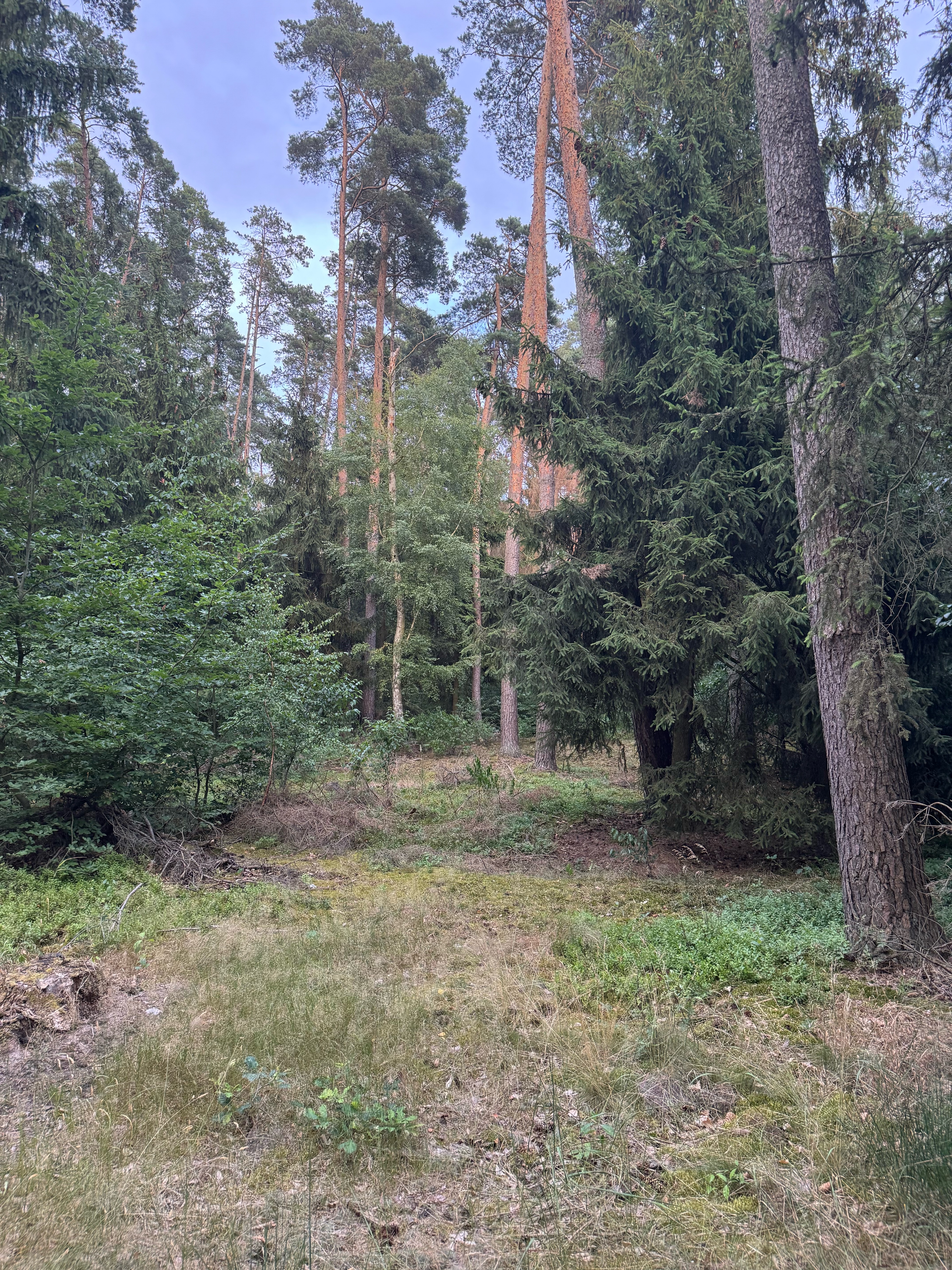 Trasa nr 3