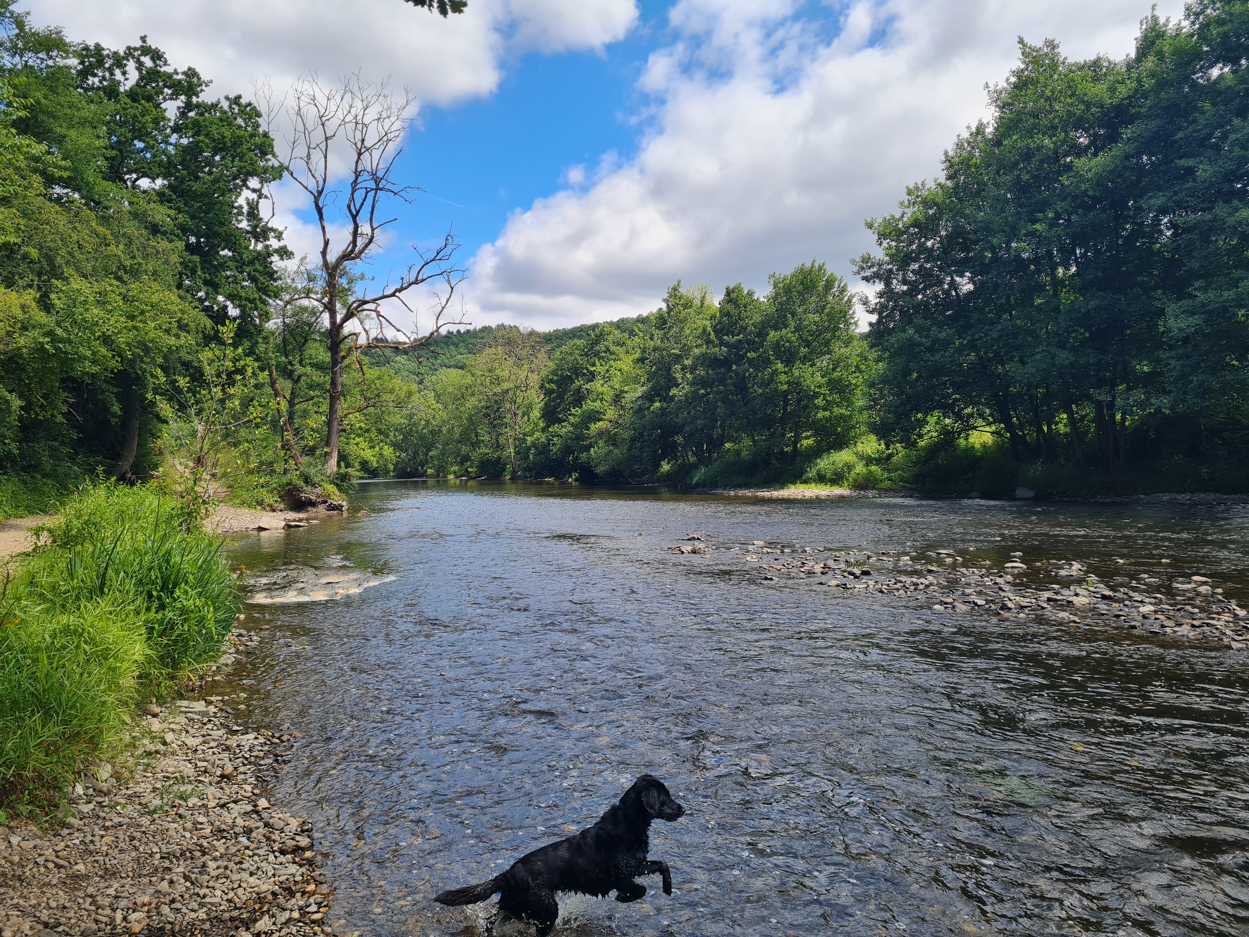 Fond de Vedeur nach Fond de Vedeur