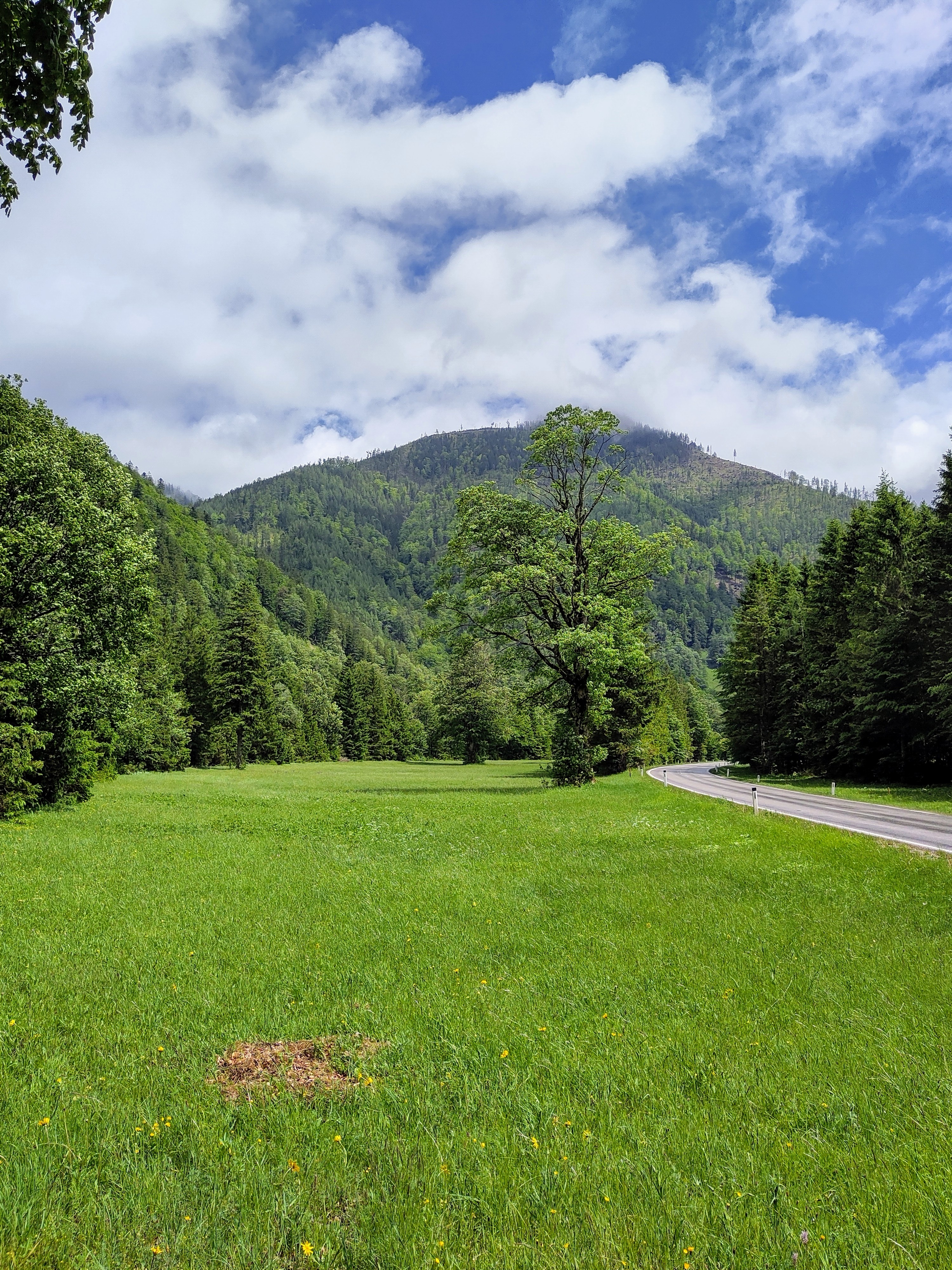 Mariazell - Erlaufsee - Lunz am See