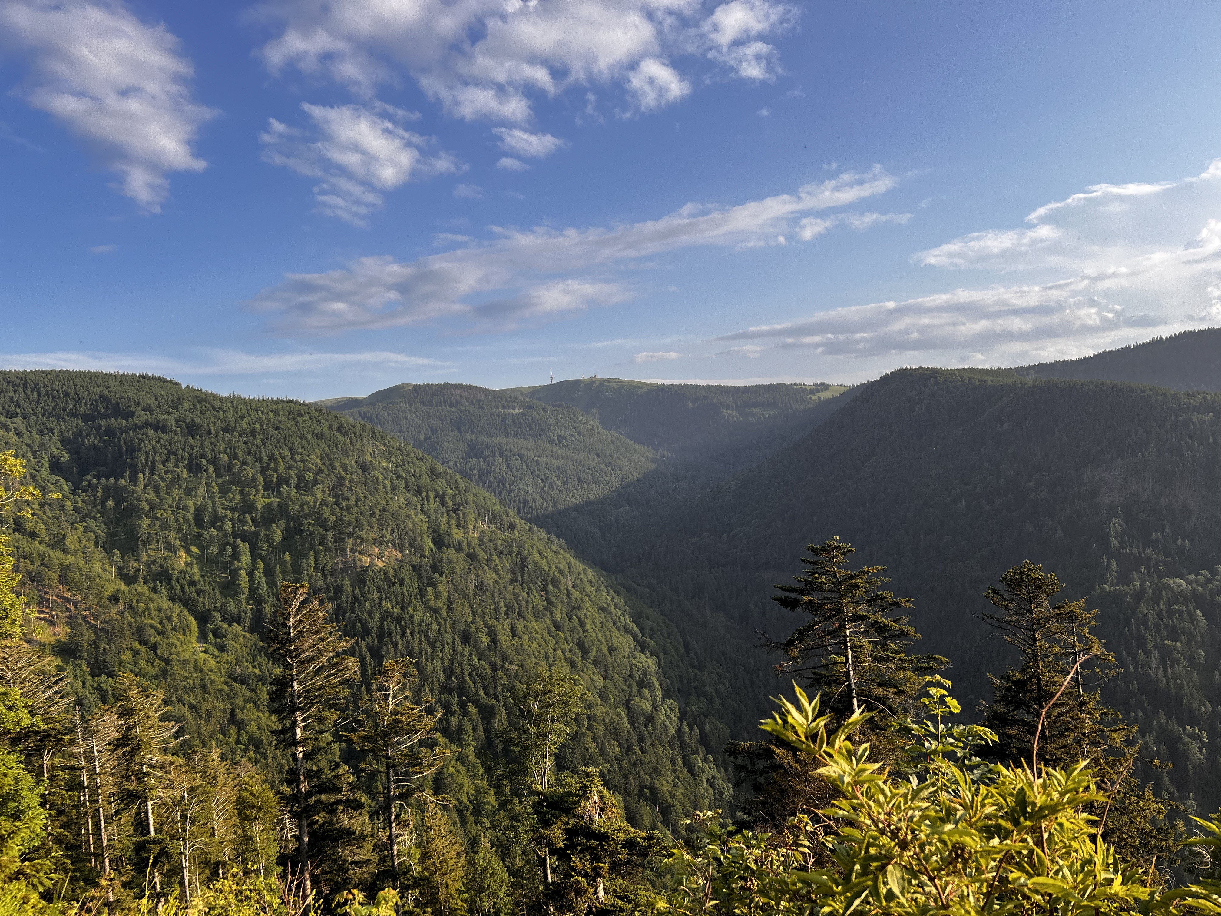 Ebnet Hinterwaldkopf Ebnet,