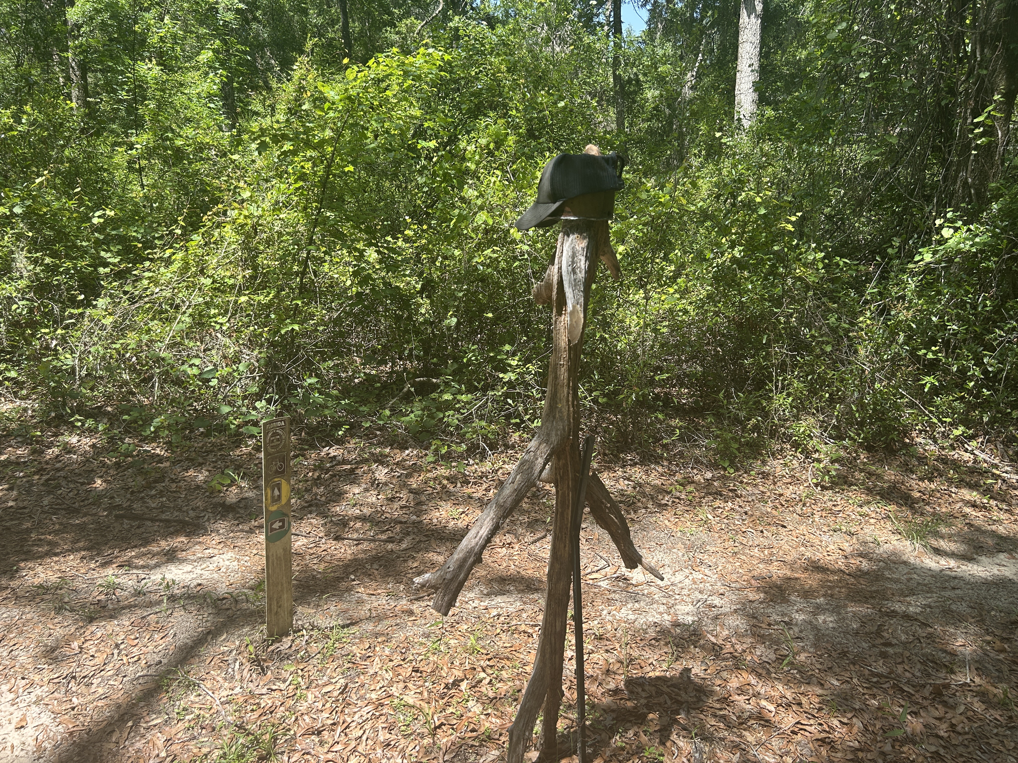 Croom Rital Rd, Brooksville to Croom Rital Rd, Brooksville
