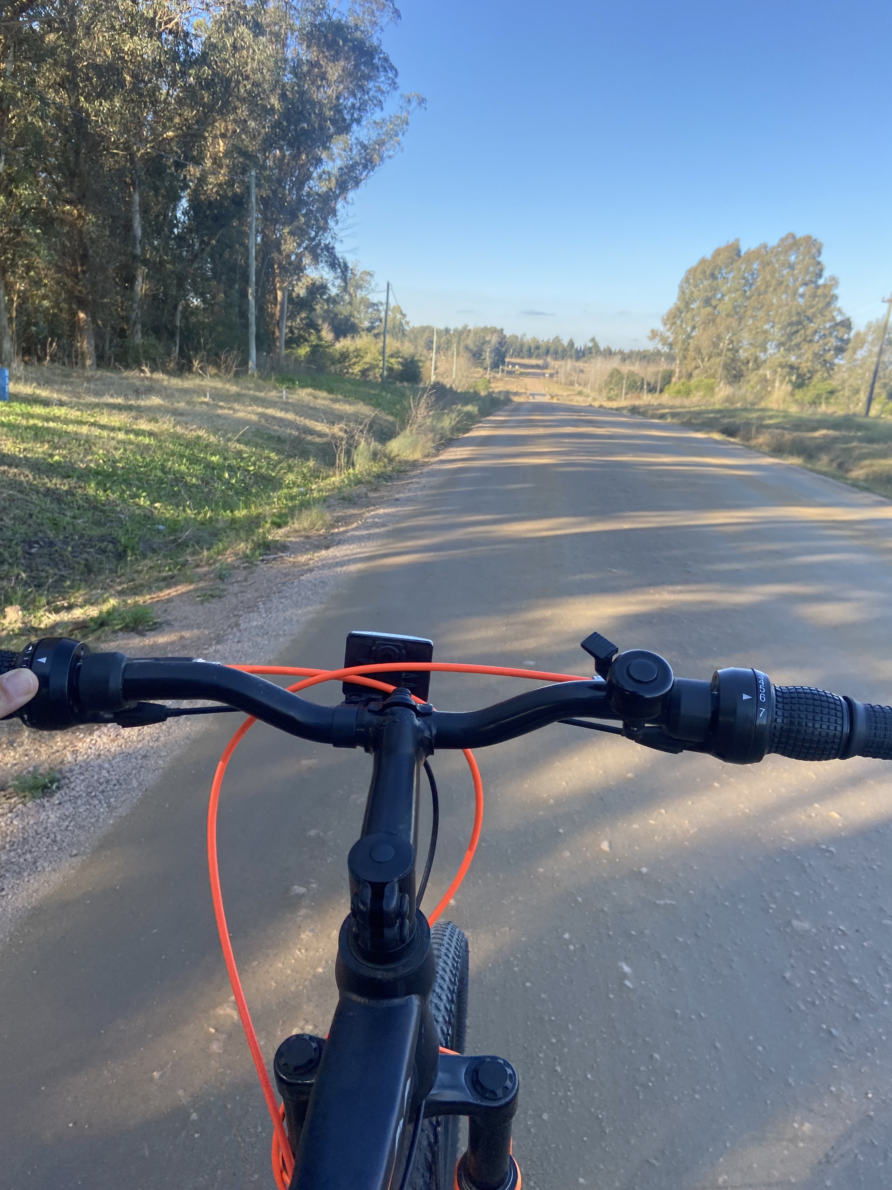 Camino a Parque Bonomi, Sauce a Sauce