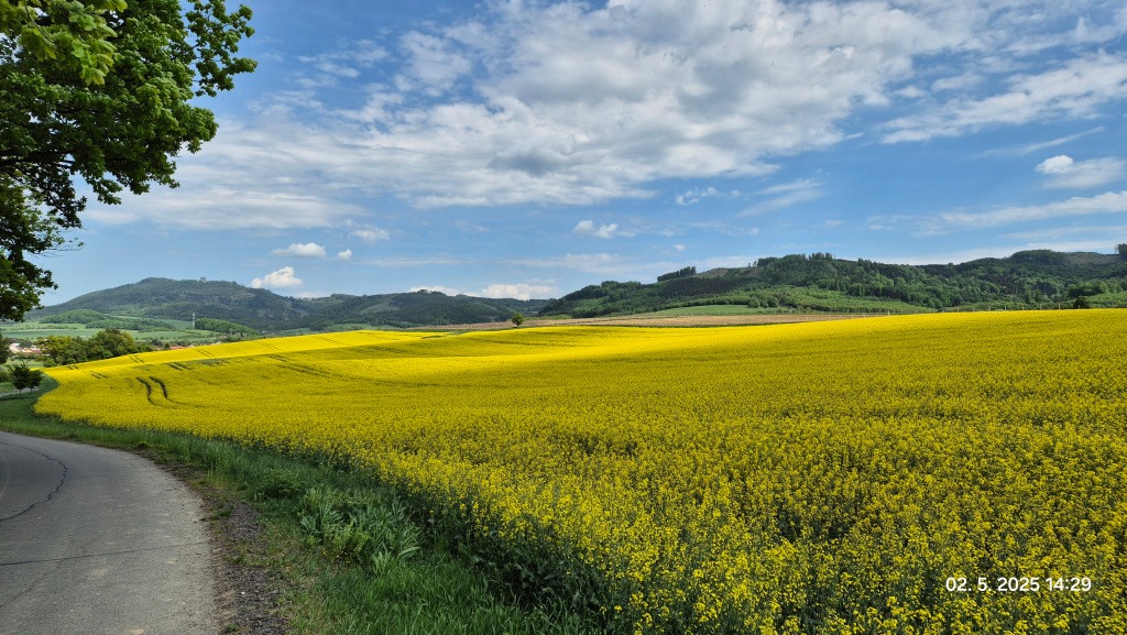 LYSINA_25-05-02 (E)