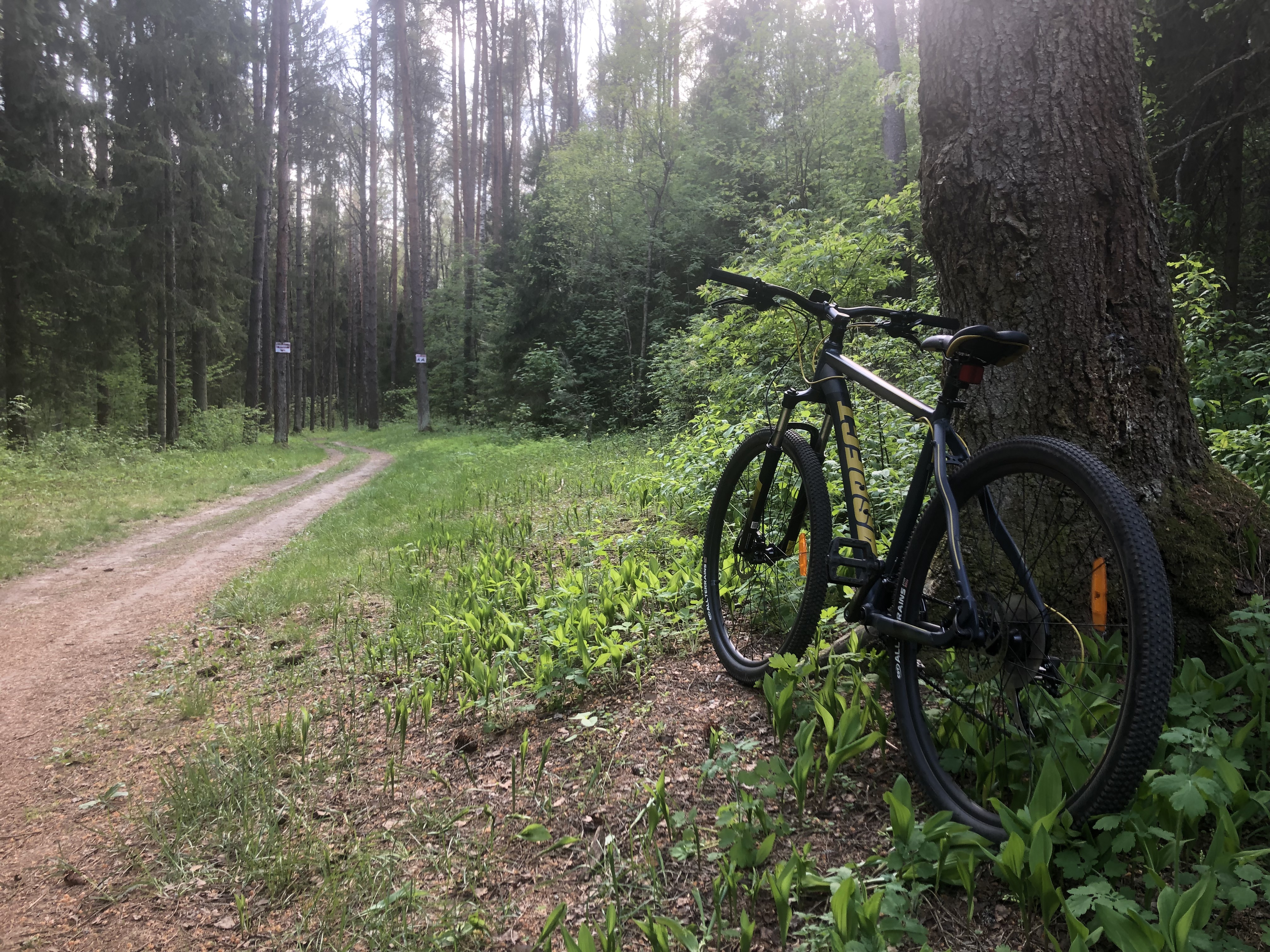 Заволжский, Кострома до Заволжский, Кострома