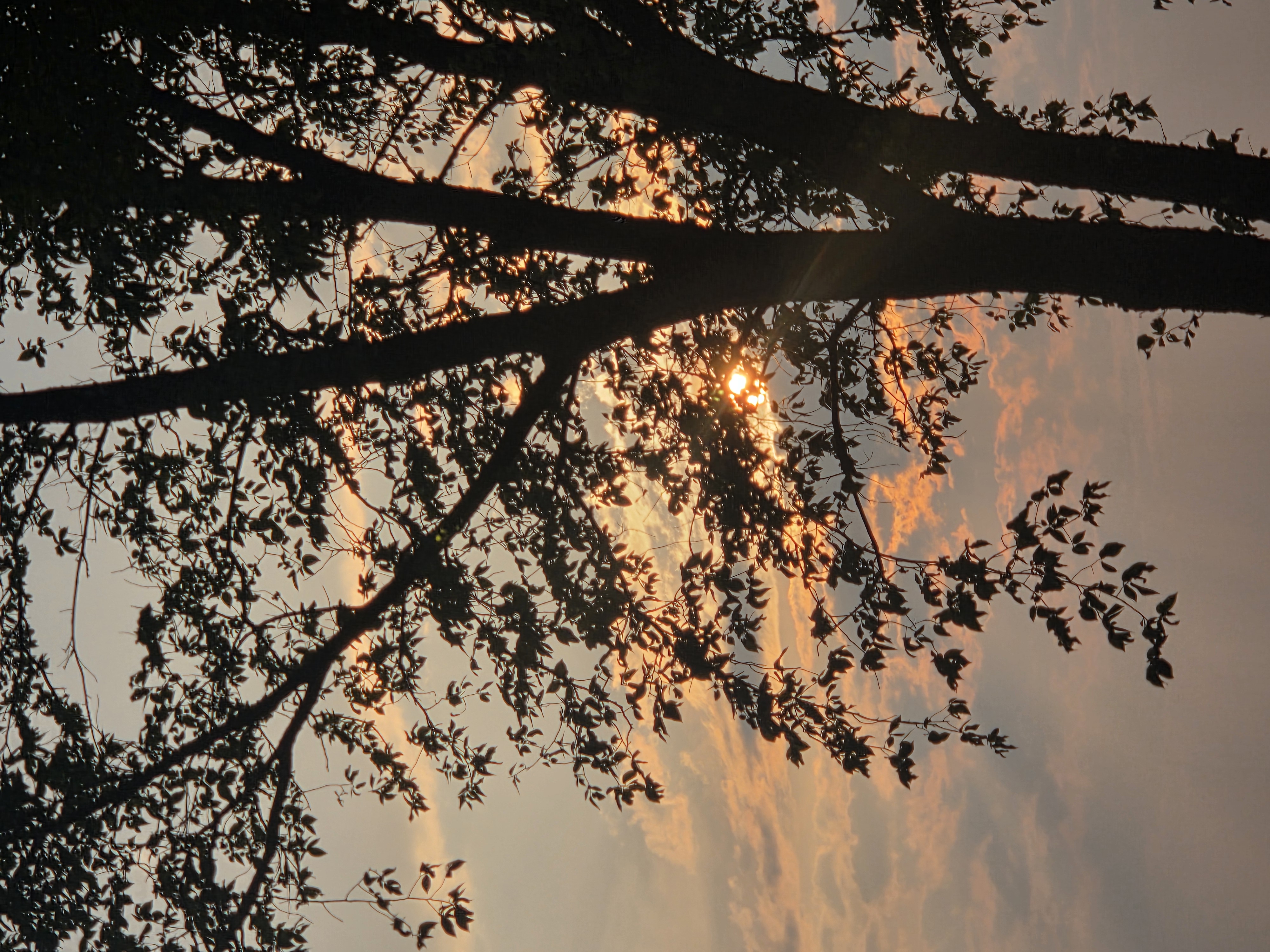 De Boulevard Guillaume-Couture à Boulevard Guillaume-Couture