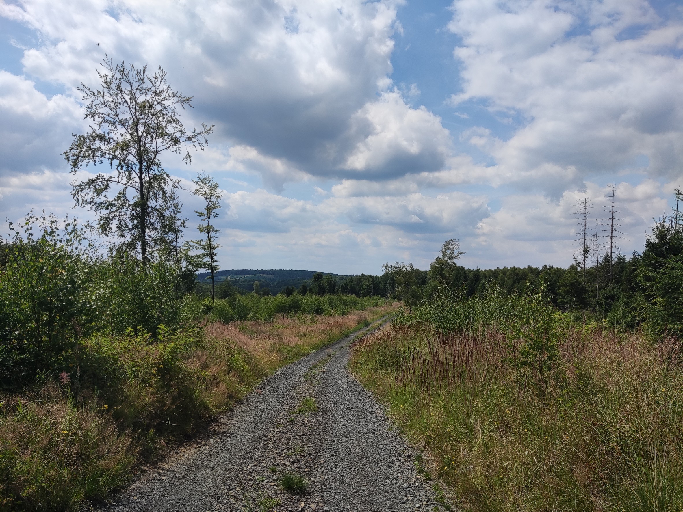 Foto 8 de la ruta de Bikemap "MTB-Tour 🚴 Oeventrop, Uentrop, Gut Wichel, Schreppenberg, Breitenbruch, Möhnesee, Tor Haus, Neuhaus, Kreuz-Eiche, Herfweg, Glösinger Handweiser, Oeventrop." Foto 8 de la ruta de Bikemap "MTB-Tour 🚴 Oeventrop, Uentrop, Gut Wichel, Schreppenberg, Breitenbruch, Möhnesee, Tor Haus, Neuhaus, Kreuz-Eiche, Herfweg, Glösinger Handweiser, Oeventrop."