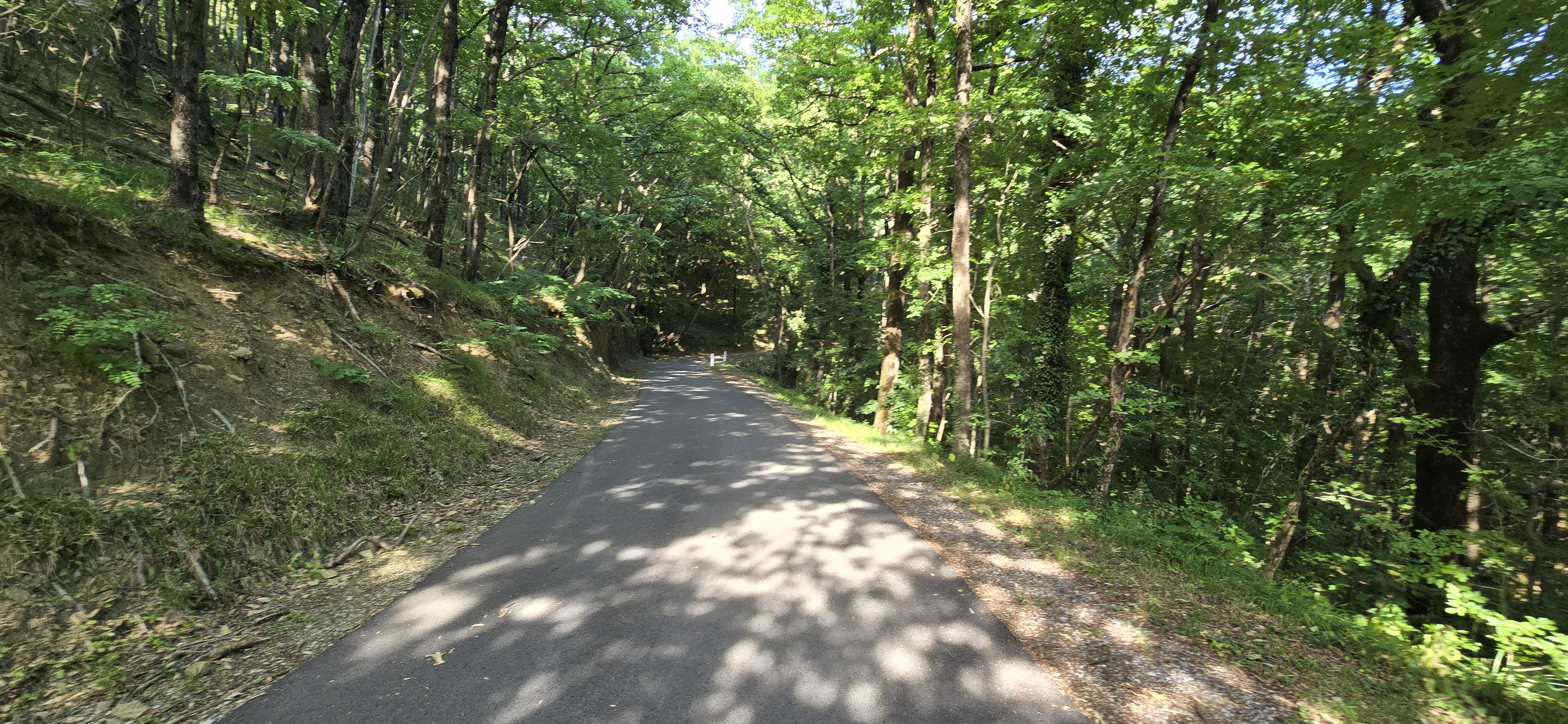 Photo 8 of the Bikemap route "Viale Argine Moreri - Gregorčičev drevored"