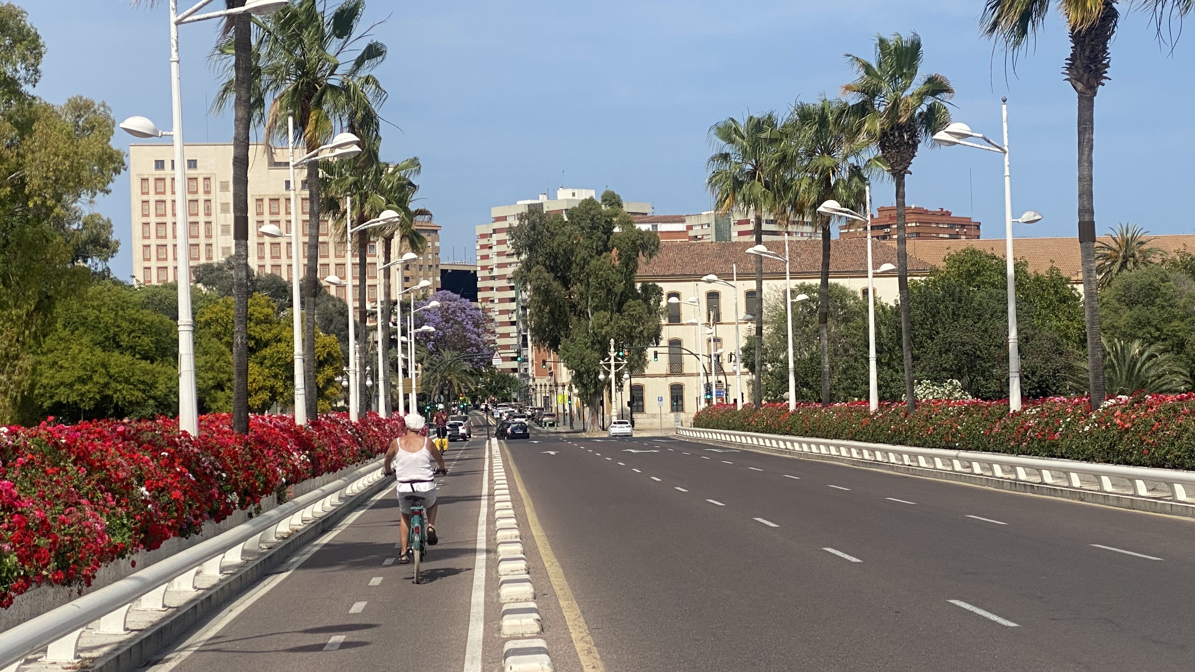 Photo 7 of the Bikemap route "valencia Turia"