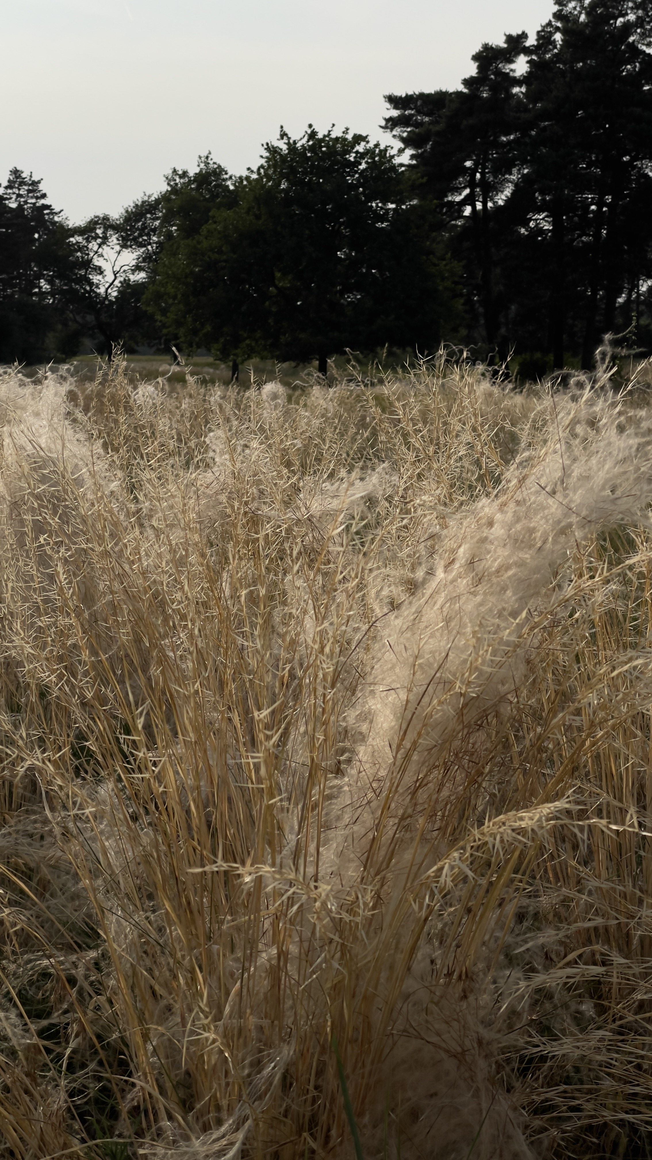 Photo 8 de l’itinéraire Bikemap « Árvalányhaj » Photo 8 de l’itinéraire Bikemap « Árvalányhaj »