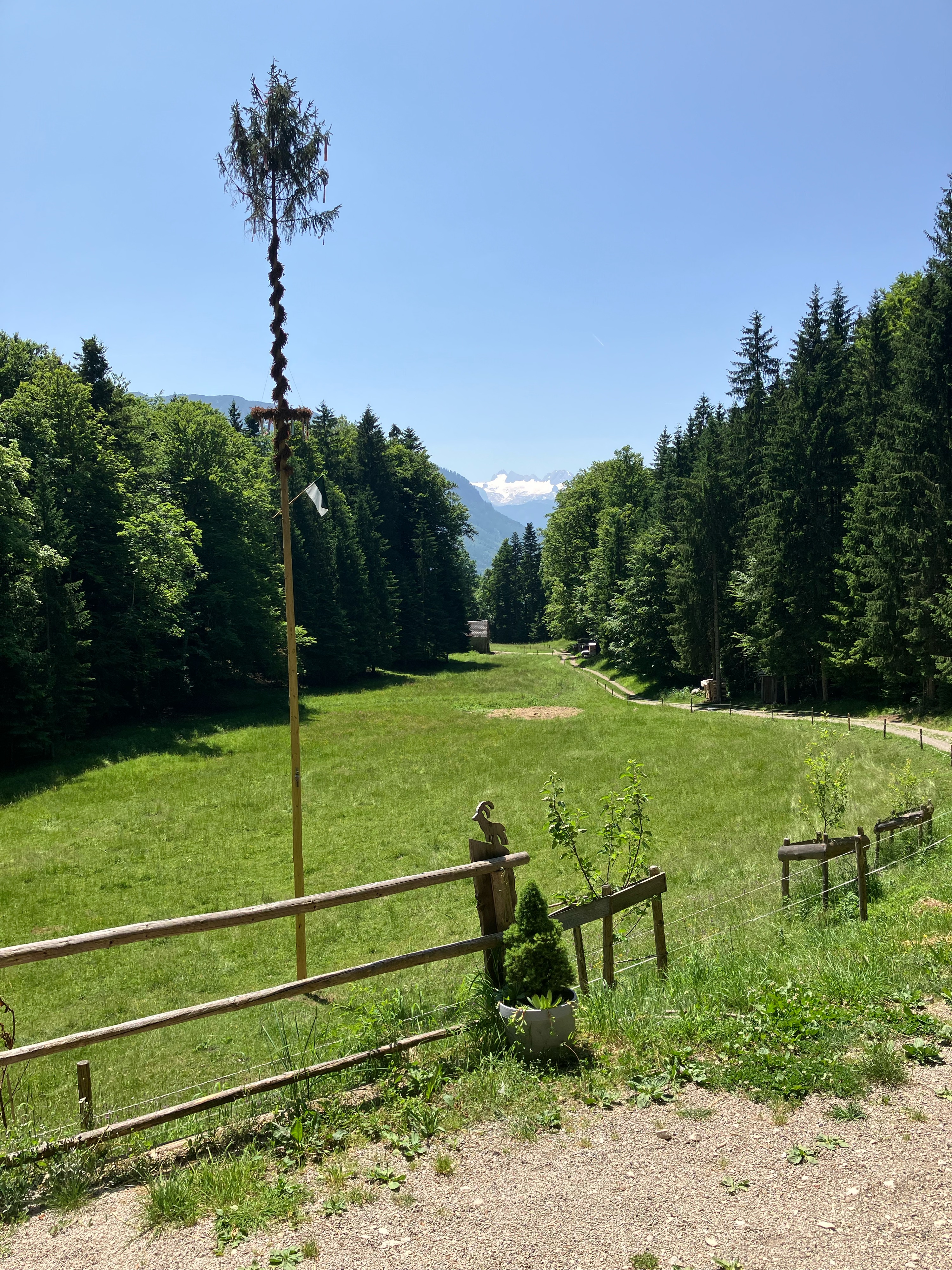 4 Seenrunde + Bärnmoos