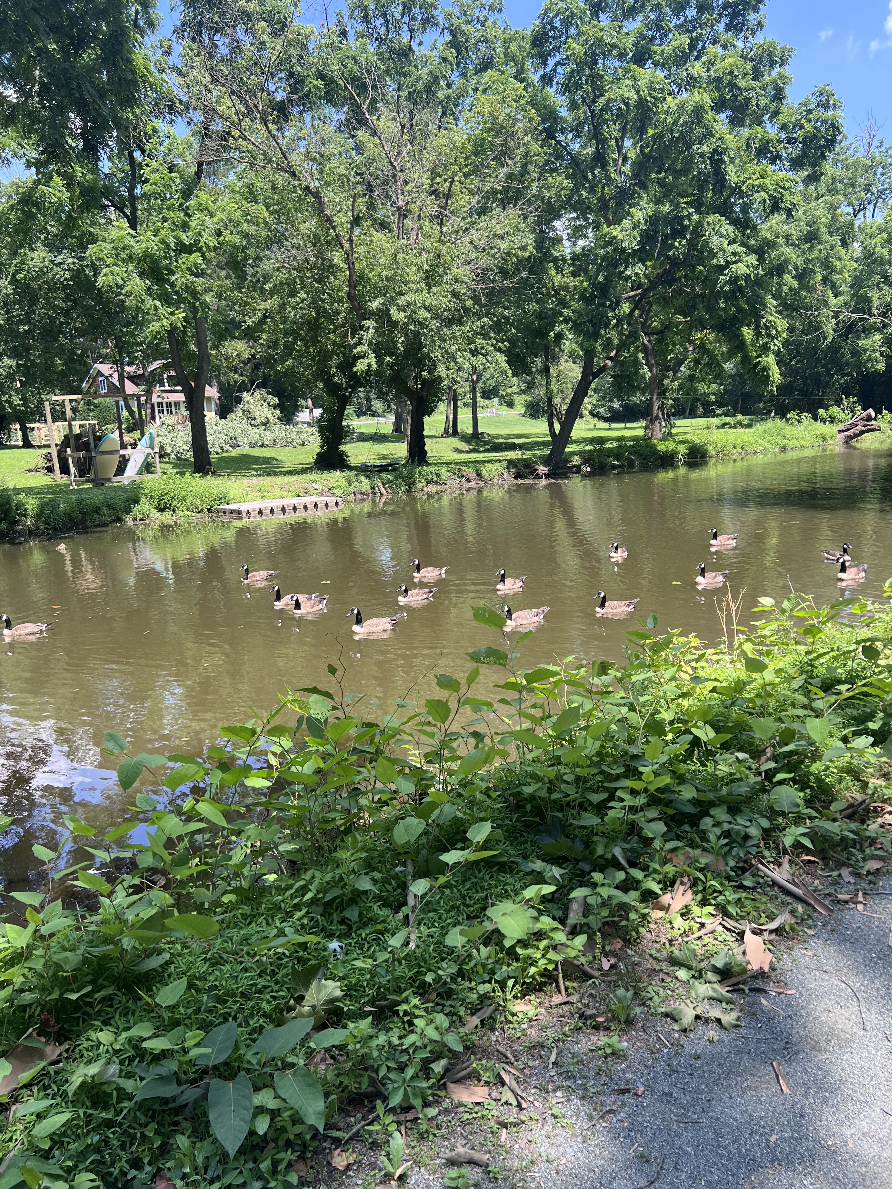 Schuylkill River Trail, King Of Prussia to Schuylkill River Trail, King Of Prussia