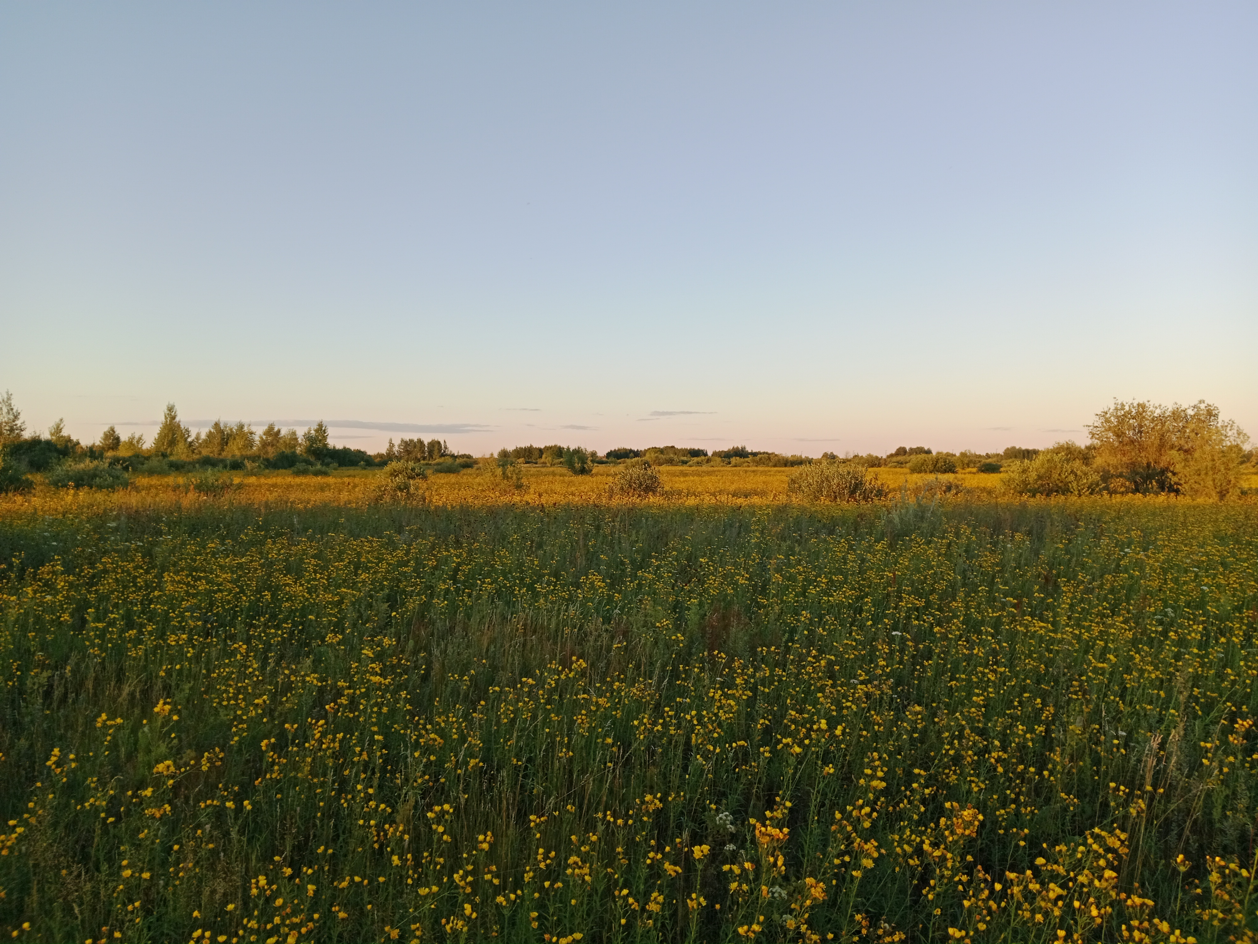 Foto 7 der Bikemap-Route "От улица Биктимирова до Советская улица"