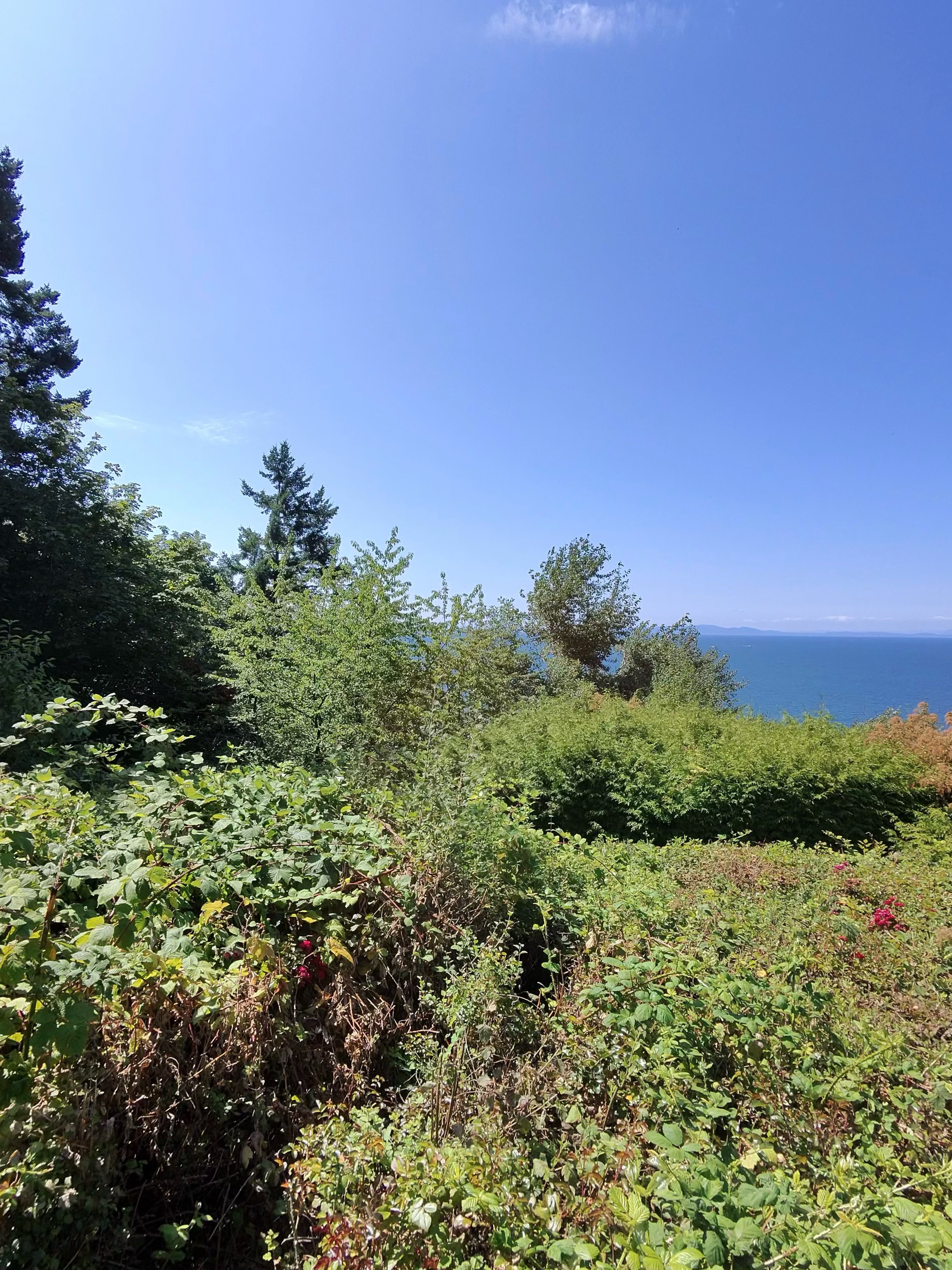 Foto 7 der Bikemap-Route "Ocean Park Rd, Surrey to Ocean Park Rd, Surrey" Foto 7 der Bikemap-Route "Ocean Park Rd, Surrey to Ocean Park Rd, Surrey"