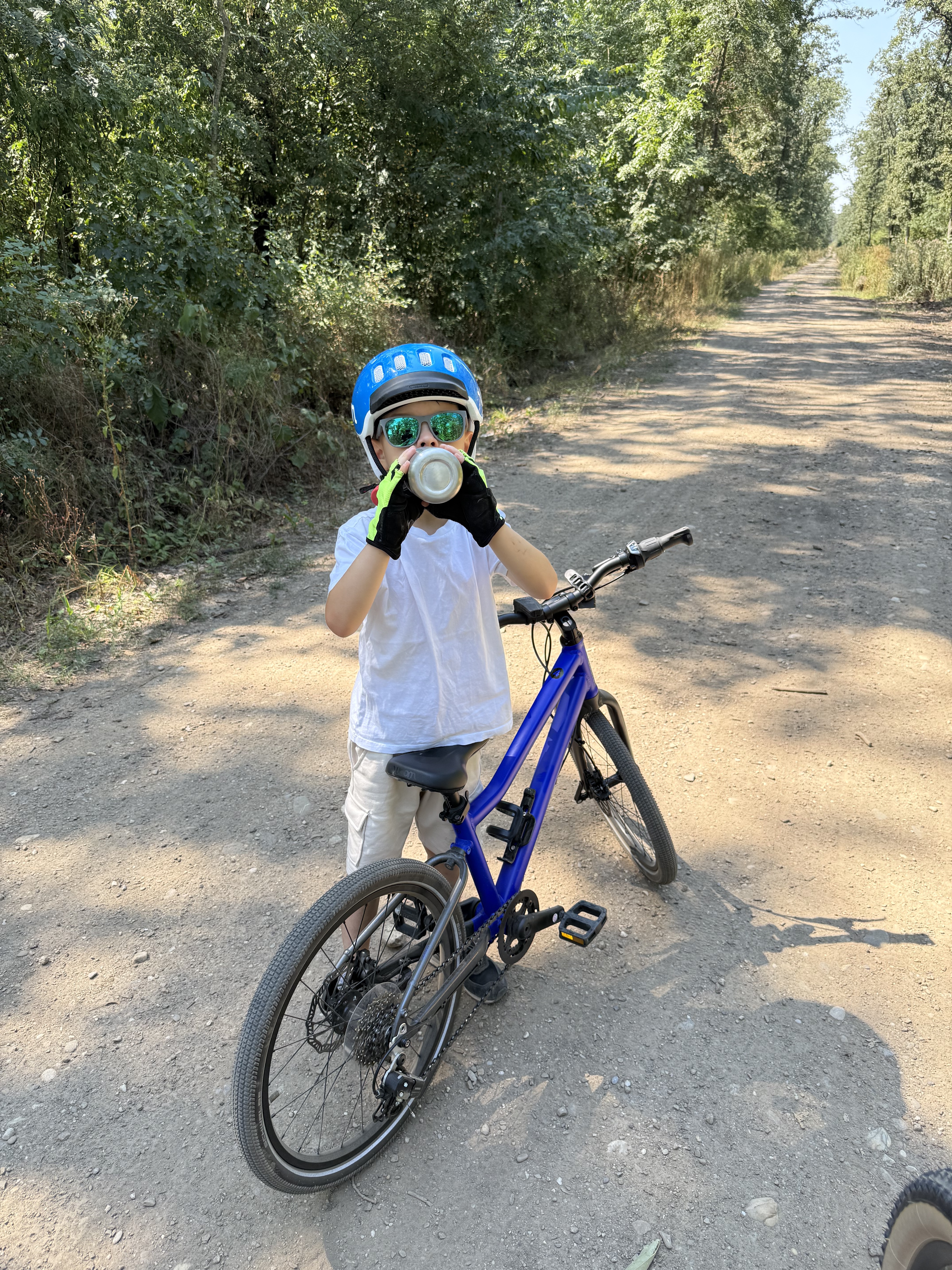 Strada Decebal, Pantelimon to Linia somieră Băjeniu, Pantelimon
