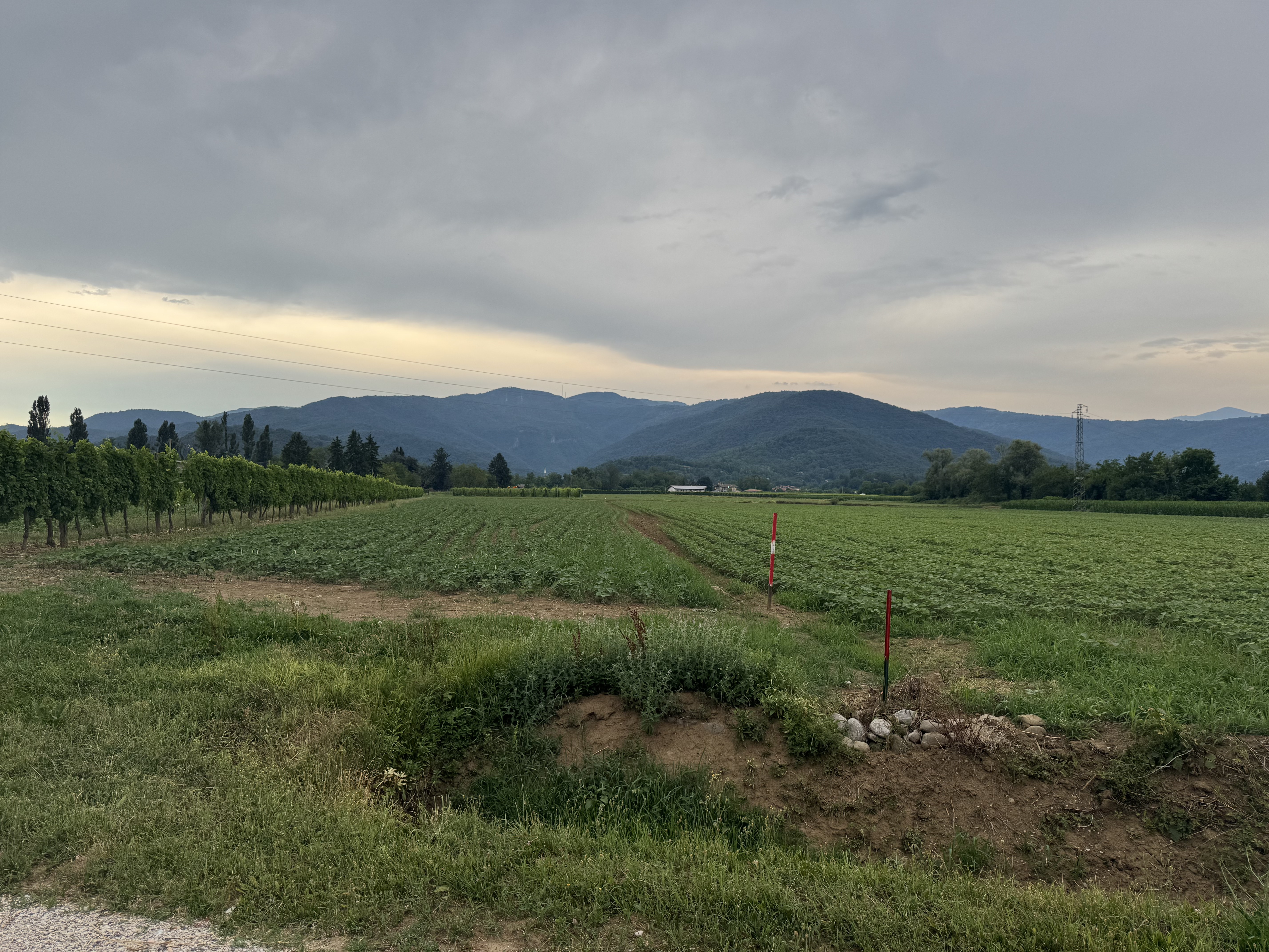 Via Giuseppe Piccaro, Torreano to Viale Francesco Foramitti, Cividale del Friuli