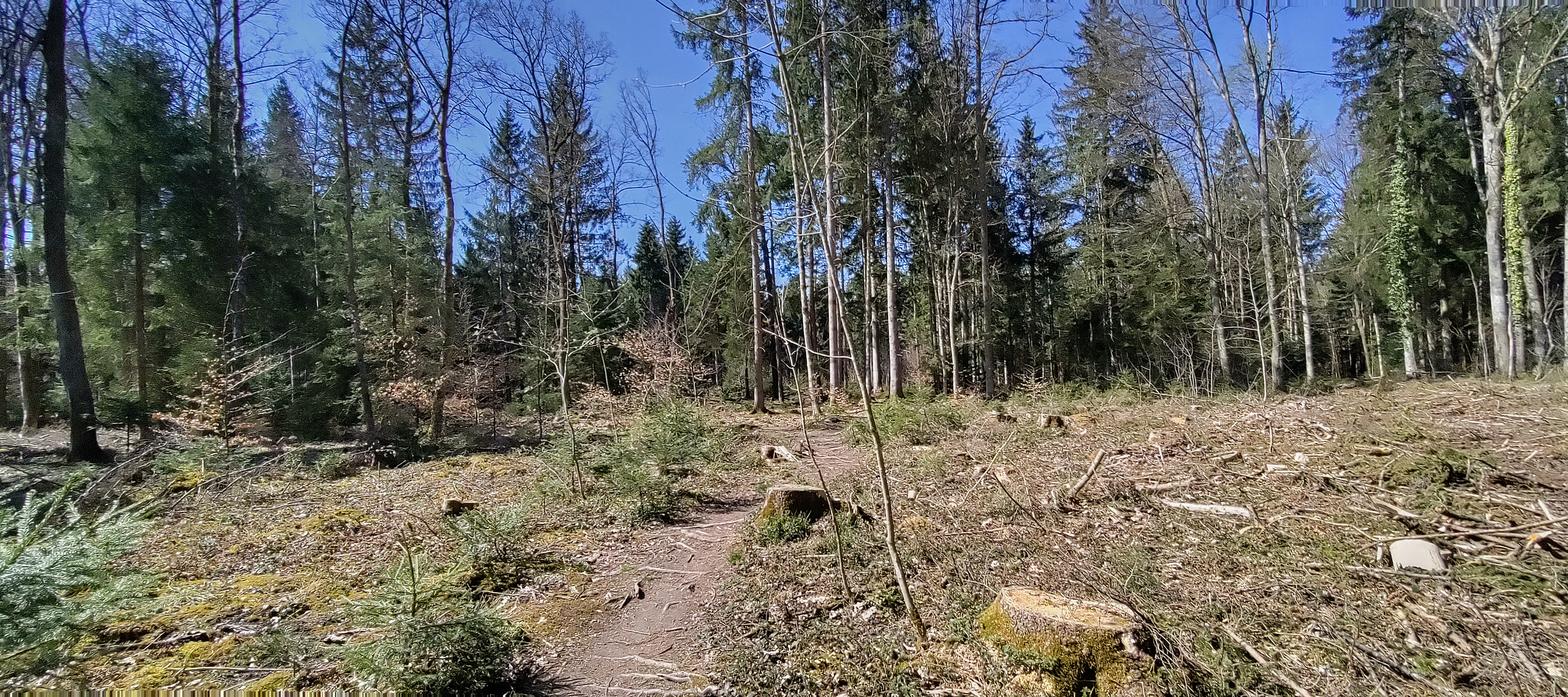 Bremertrail (Aufnahme gestoppt?)