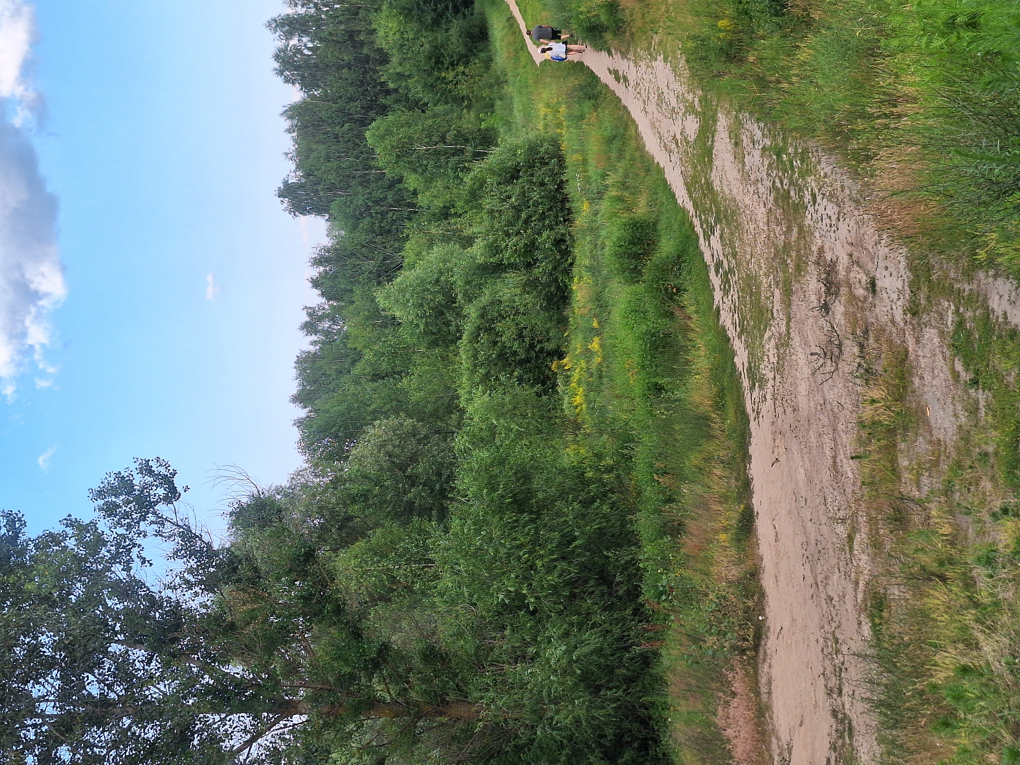 Медленная езда