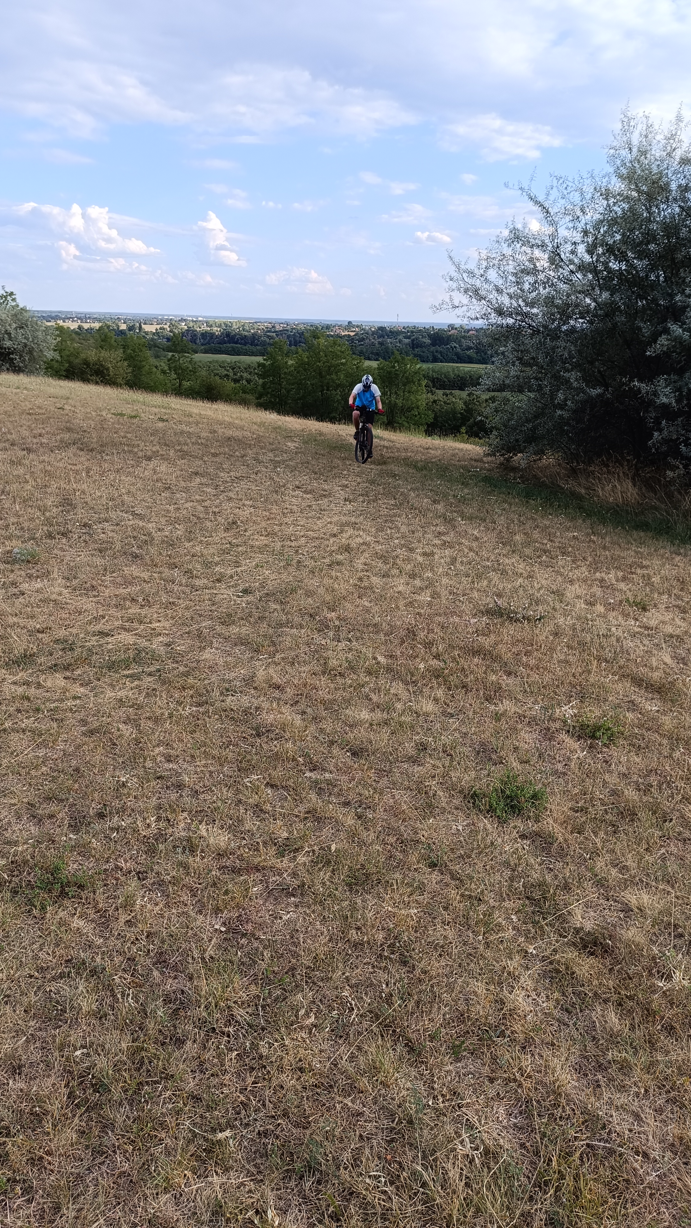 Luther Márton utca - Luther Márton utca