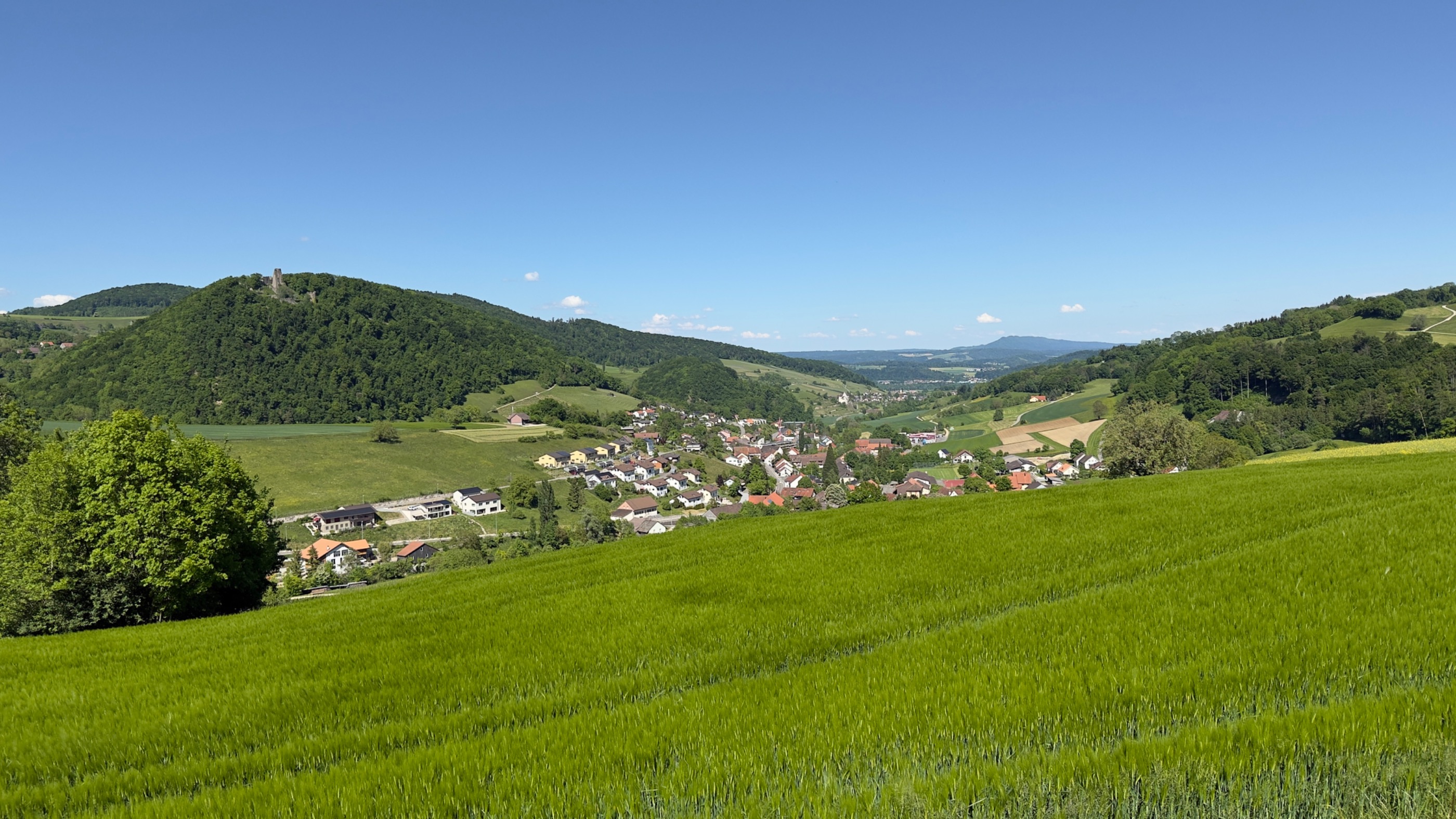 250511 Staffelegg Runde