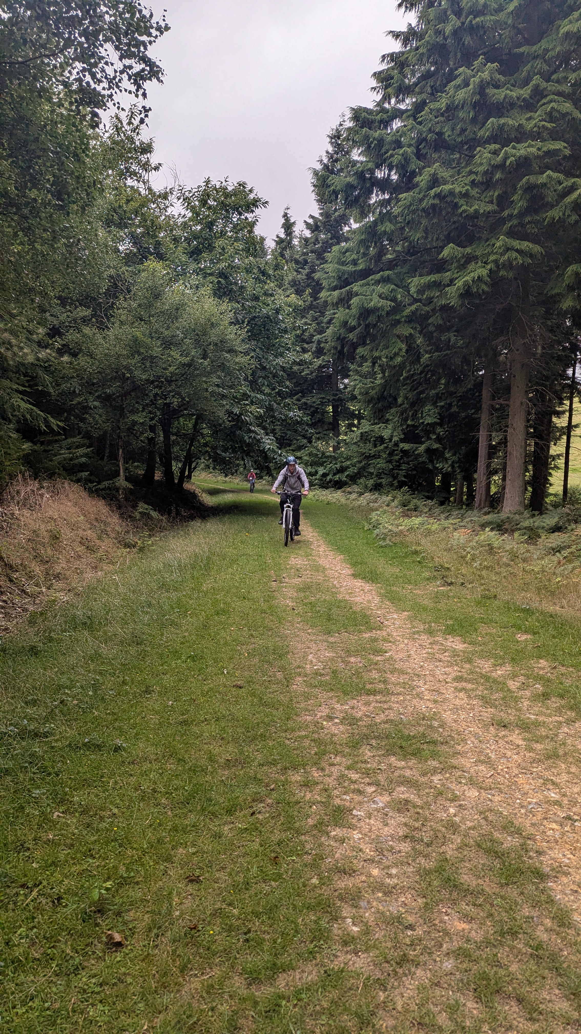 King's Wood ( small loop)