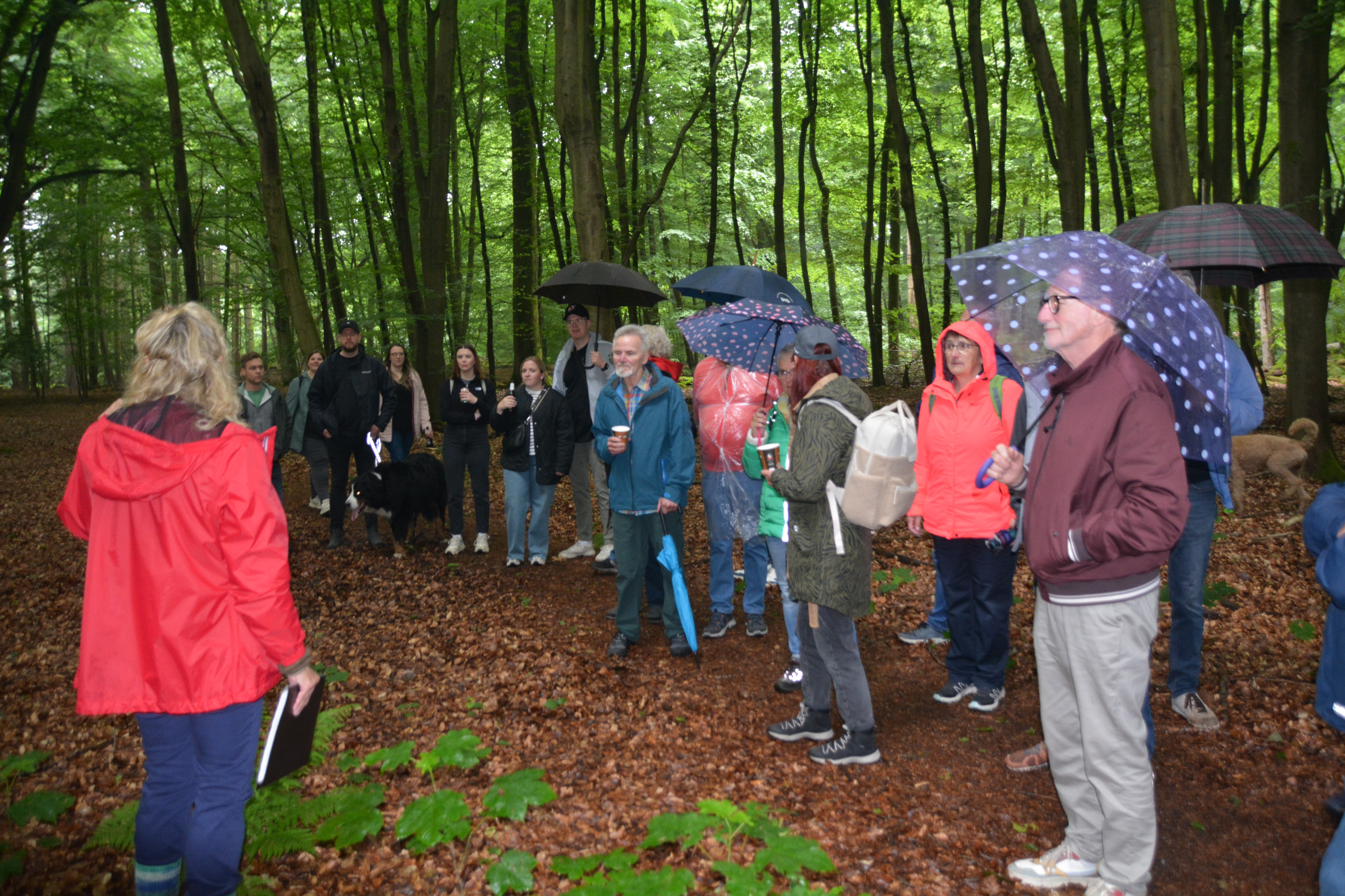 2025-05-29 Schwafu-Wanderung
