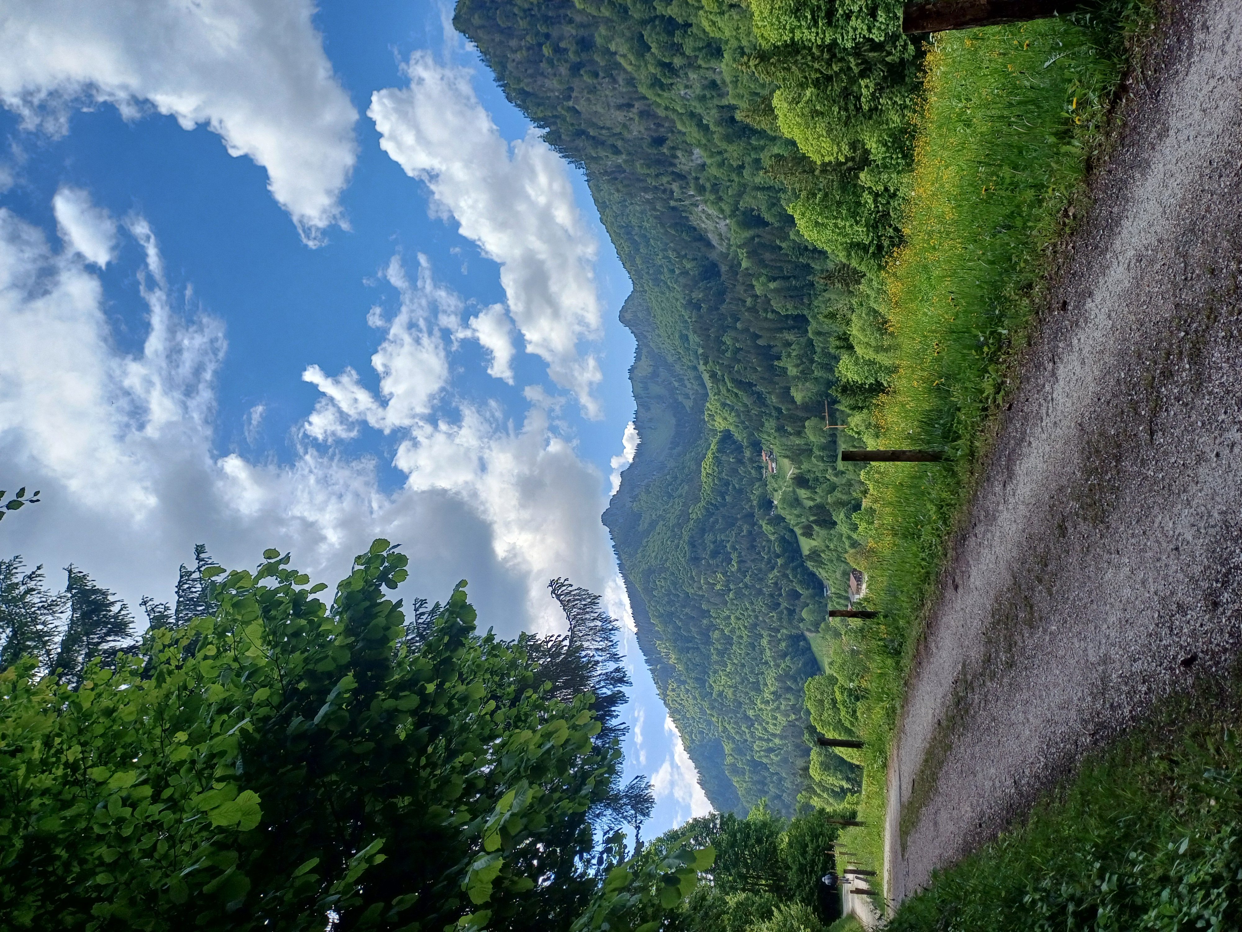 Röthelmoosalm