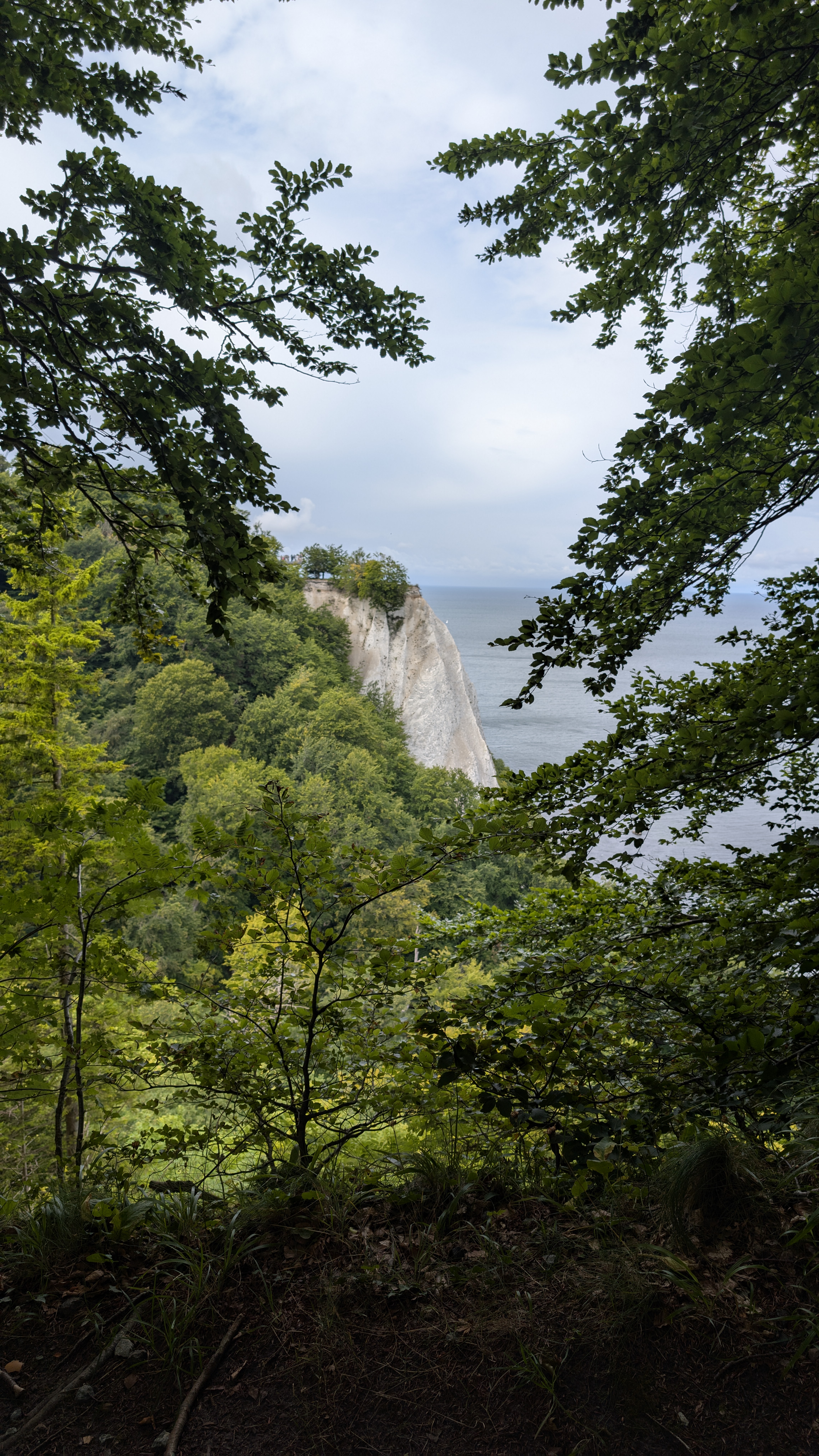 Foto 8 der Bikemap-Route "Rundrunde Binz-Sassnitz (Kreidefelsen)"