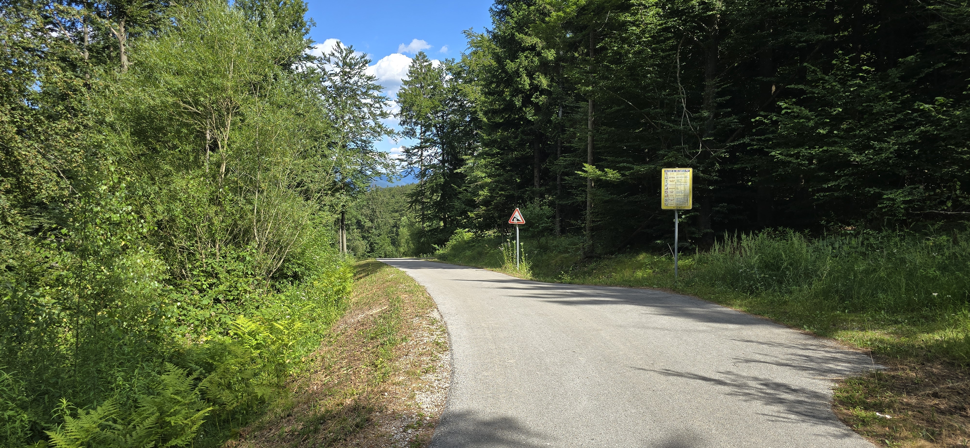 Trg Osvobodilne fronte - Borovška cesta