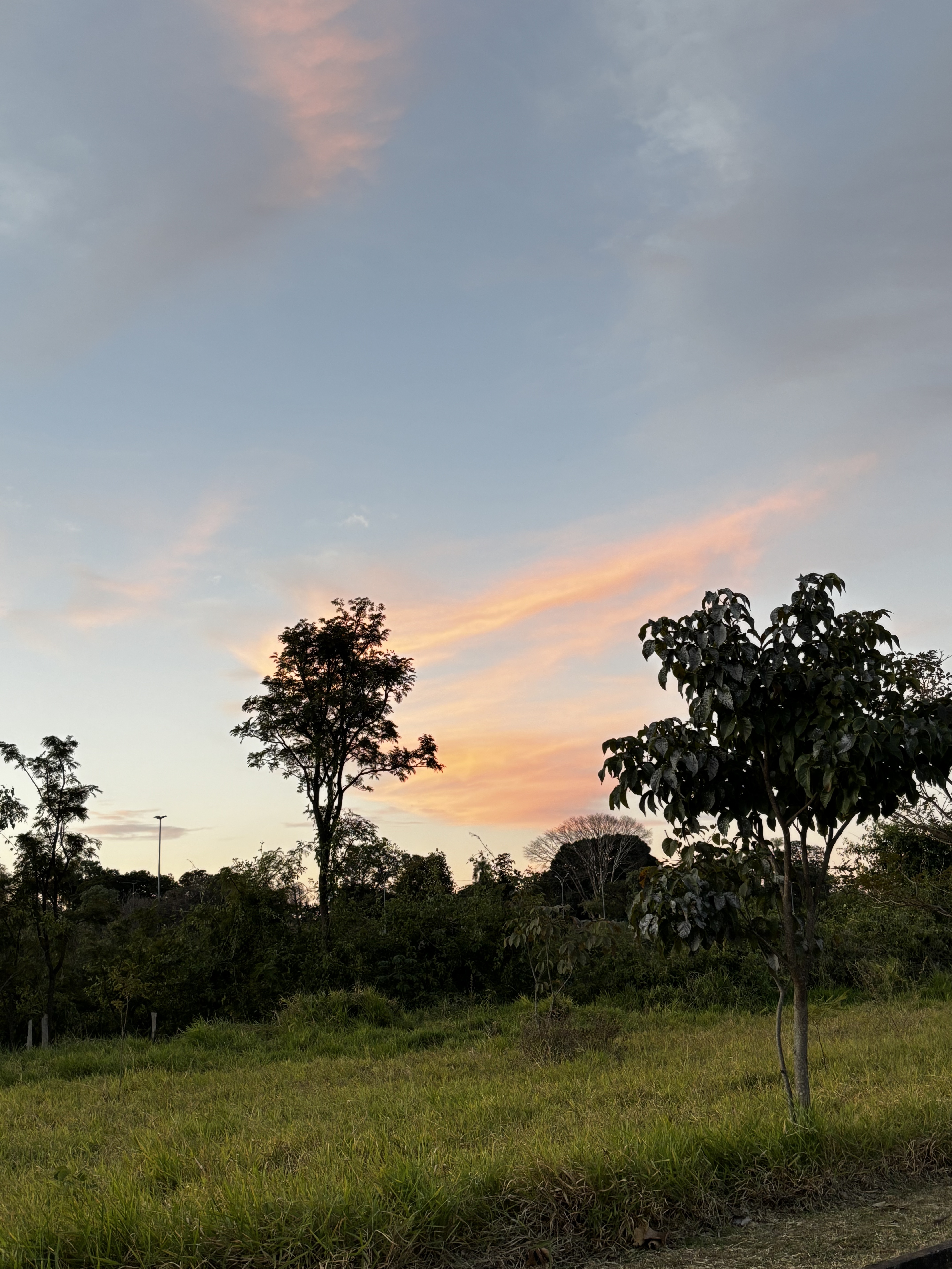Foto 3 del percorso Bikemap "Rua Cláudio Manoel da Costa, Campo Grande a Avenida Zulmira Borba, Campo Grande" Foto 3 del percorso Bikemap "Rua Cláudio Manoel da Costa, Campo Grande a Avenida Zulmira Borba, Campo Grande"