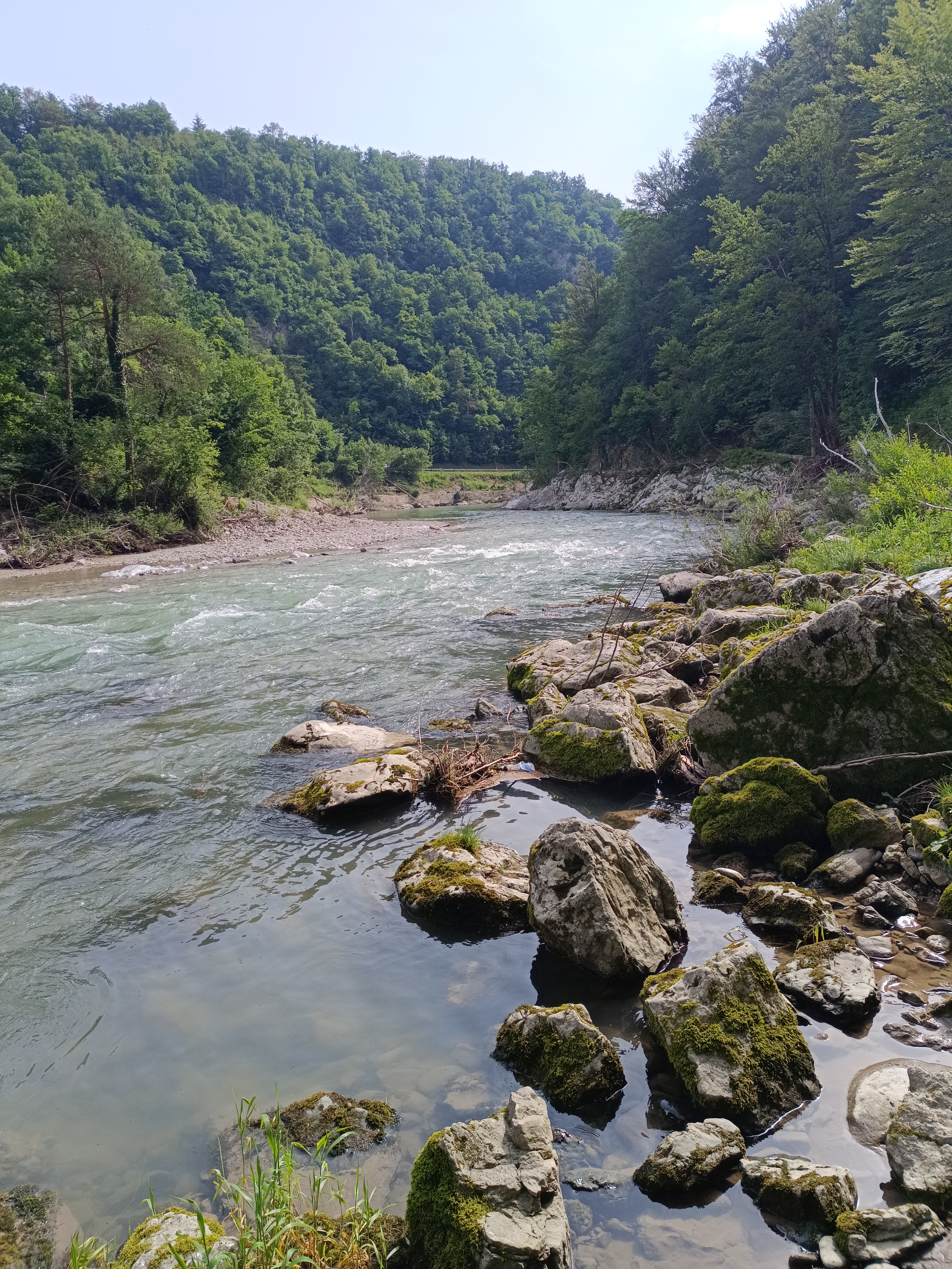 Žg.Savinjska, Šaleška, Zadrečka