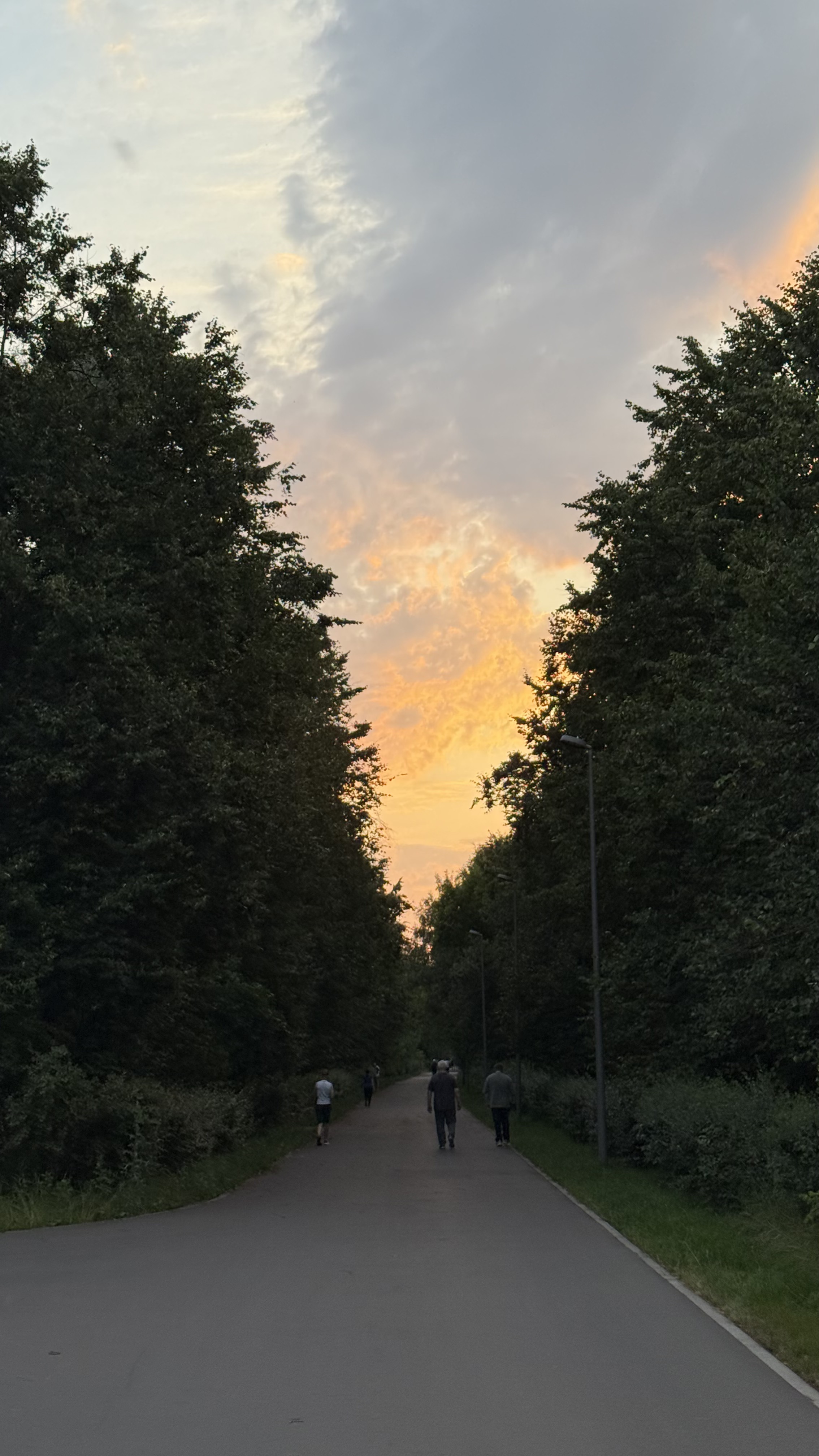 Photo 8 of the Bikemap route "СЗАО - Центр - СЗАО"