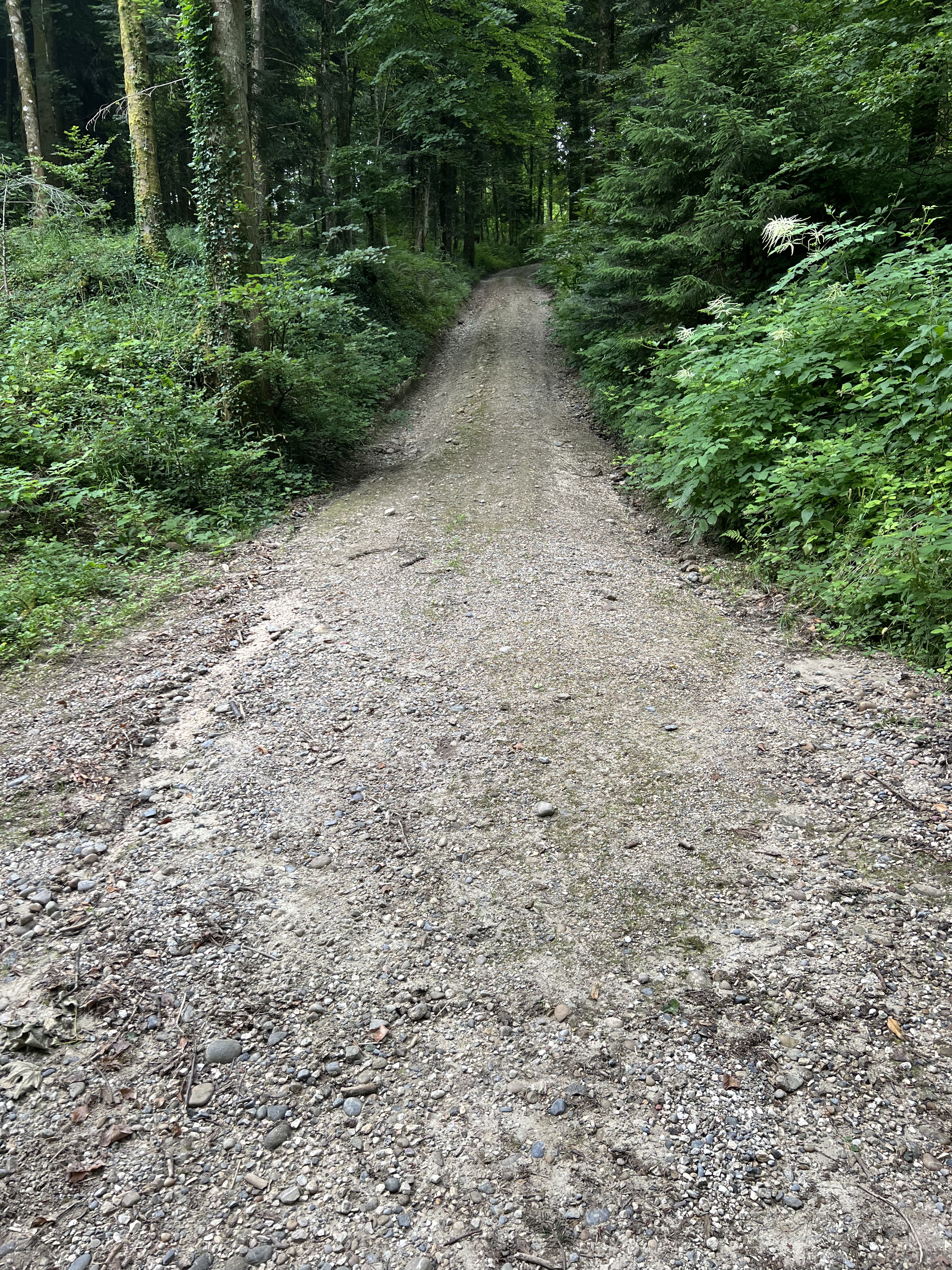Moosstrasse, Kirchleerau nach Moosstrasse, Kirchleerau