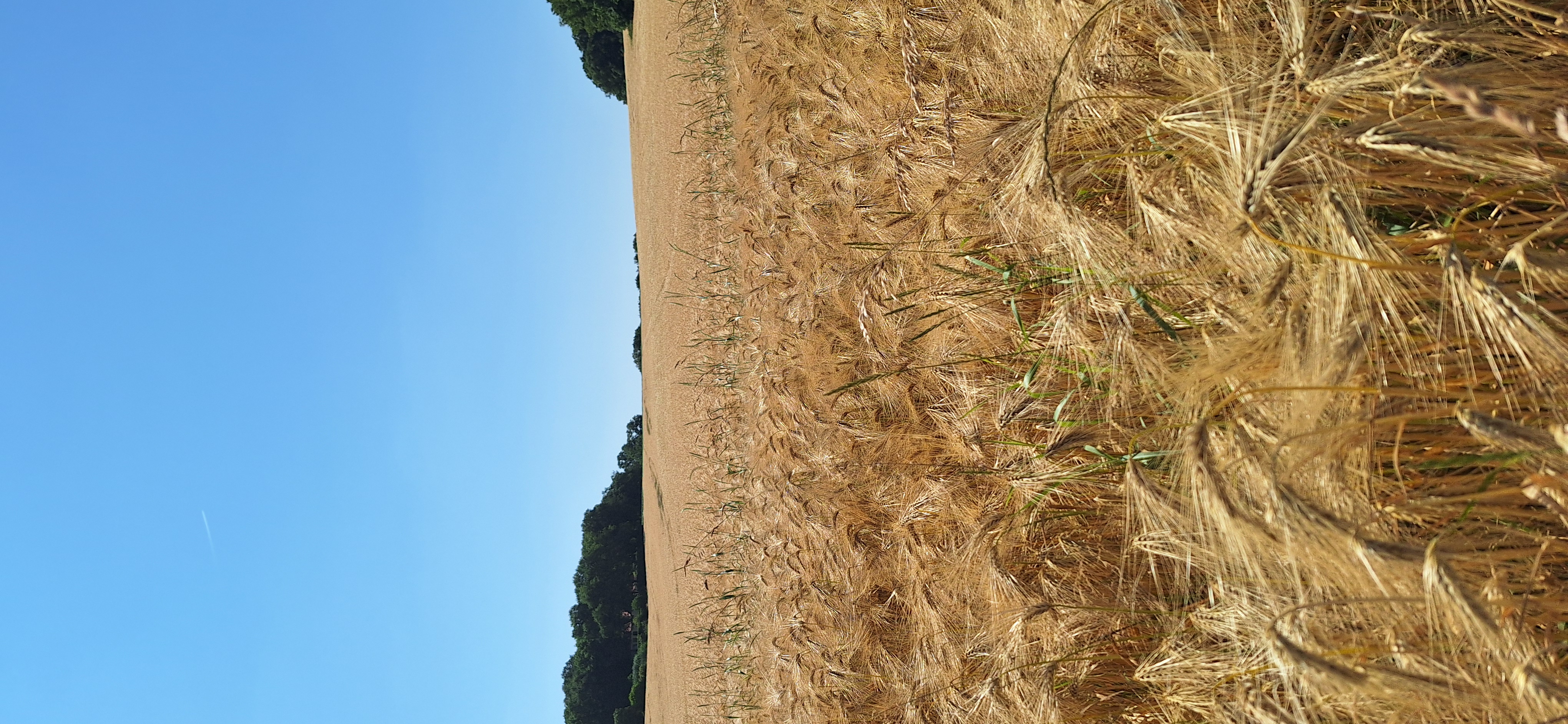 Ina-Seidel-Straße 19, Neukirchen-Vluyn nach Ina-Seidel-Straße 27, Neukirchen-Vluyn