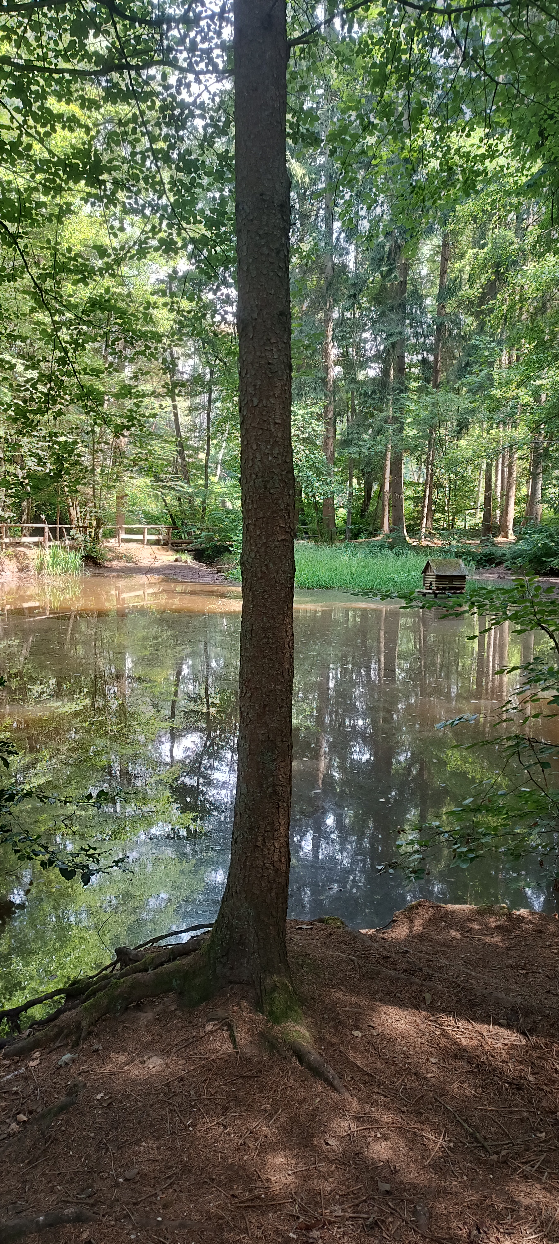 Rheinstraße nach Rheinstraße