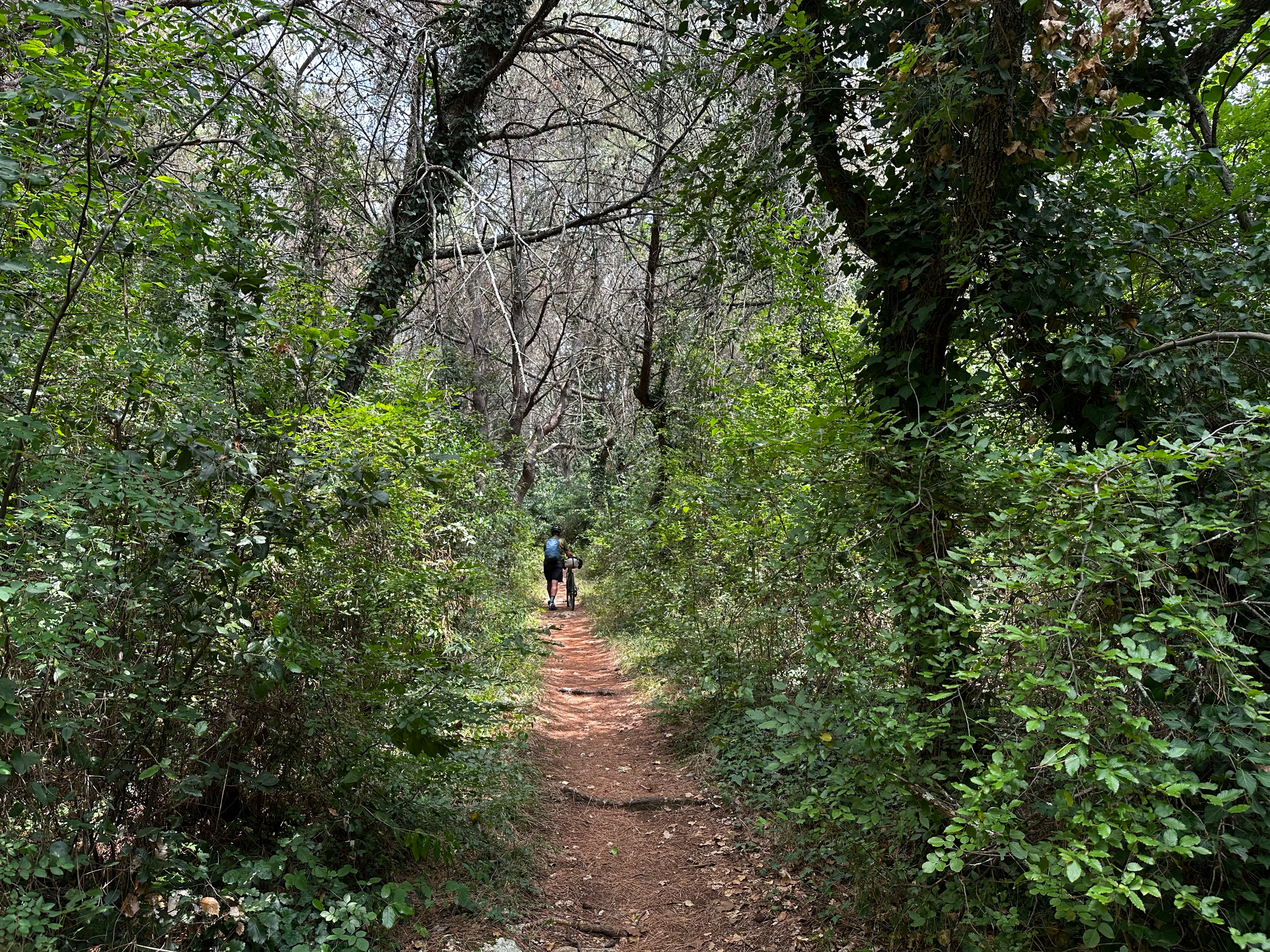 45.225, 13.628 nach 45.041, 13.786