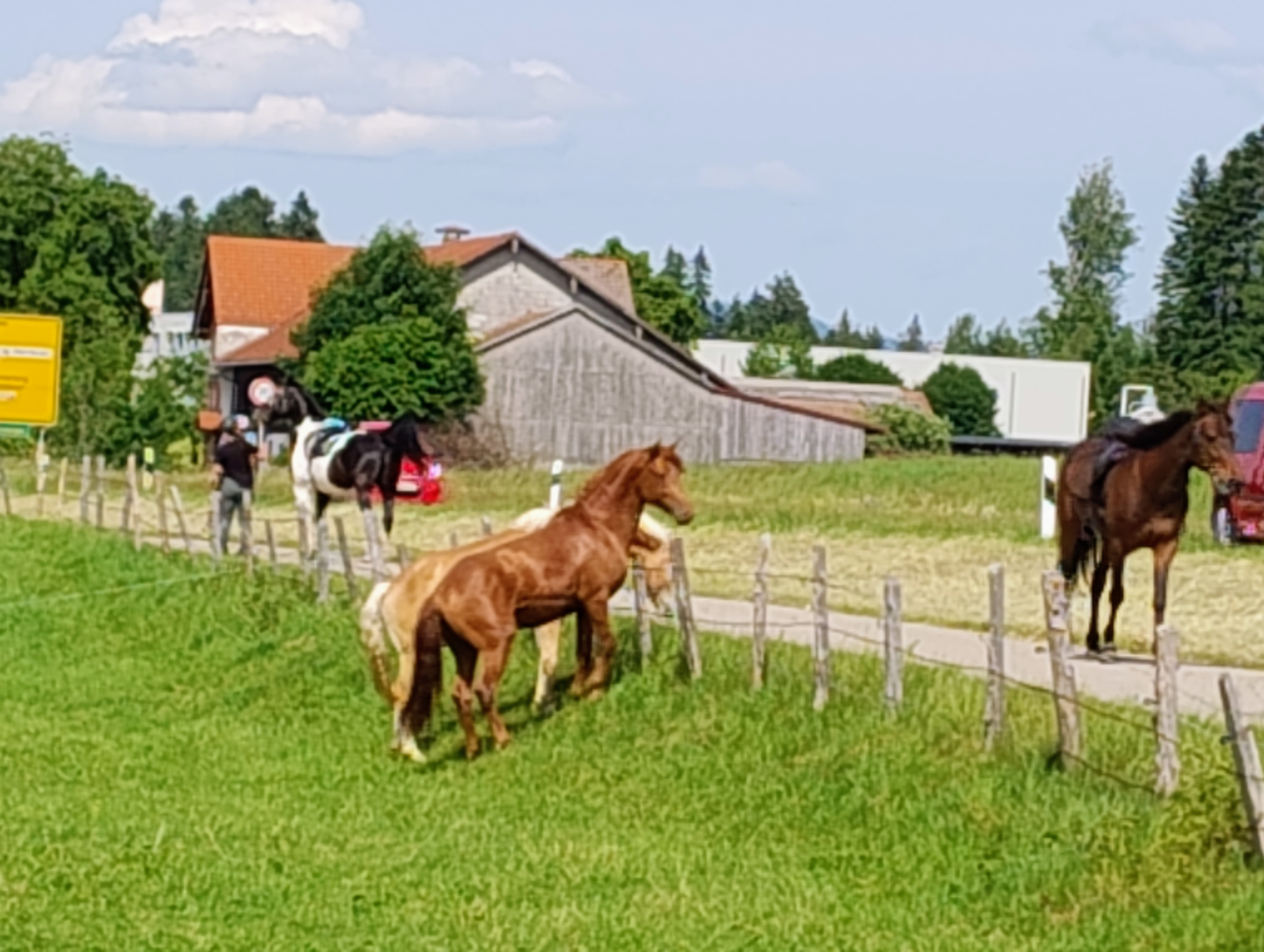 Foto 7 der Bikemap-Route "48km kleine RR Runde ohne RR"