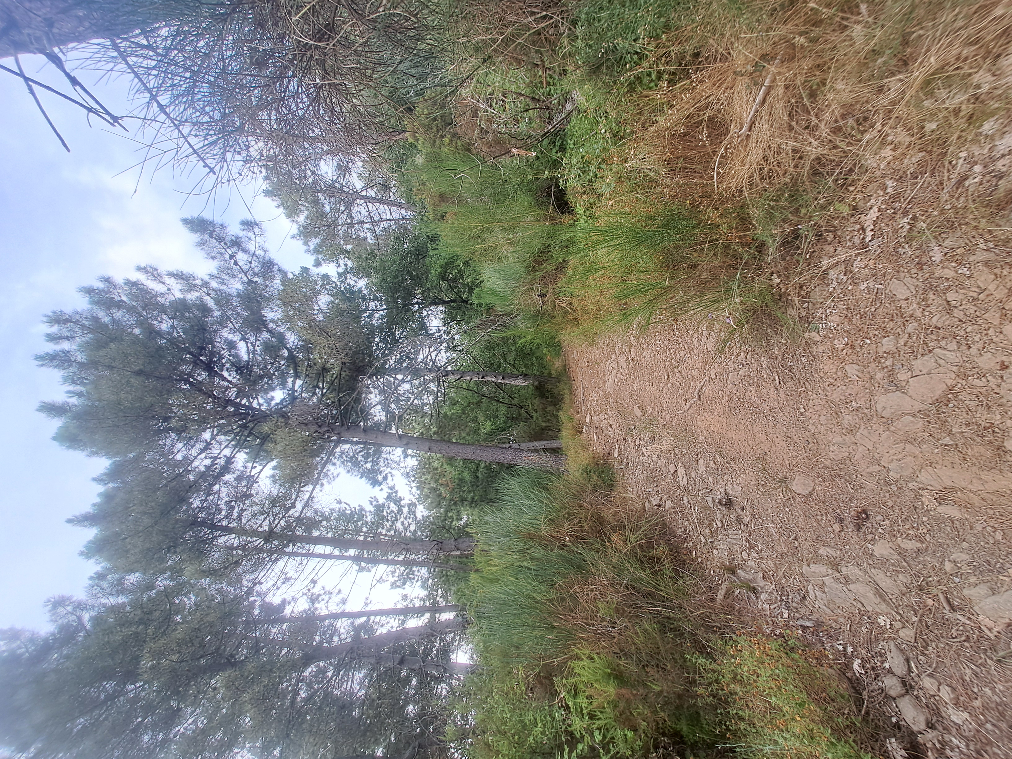 Sassaiola sotto Lucolena