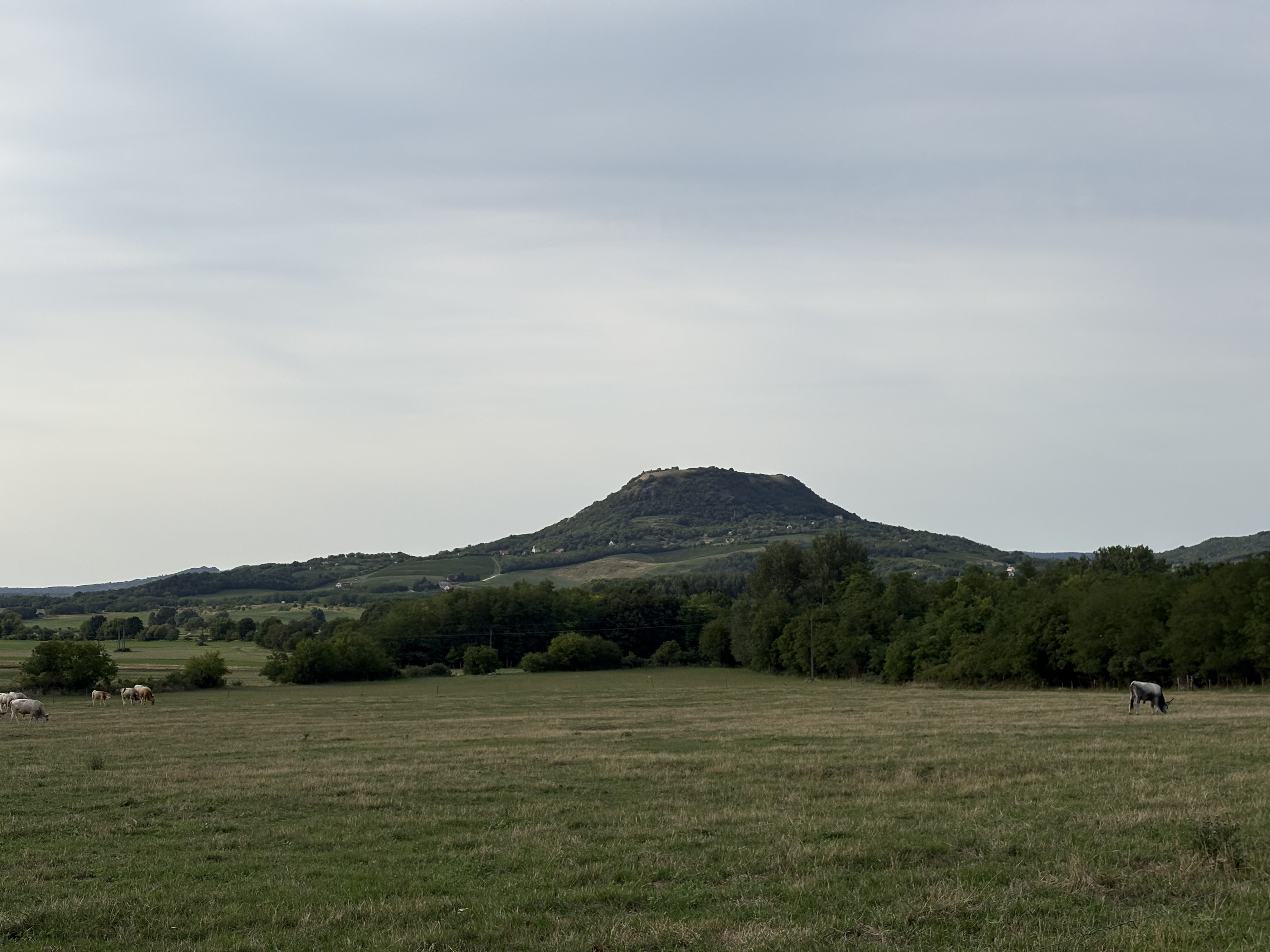 7313-as mellékút, Káptalantóti - Fő utca, Badacsonytomaj