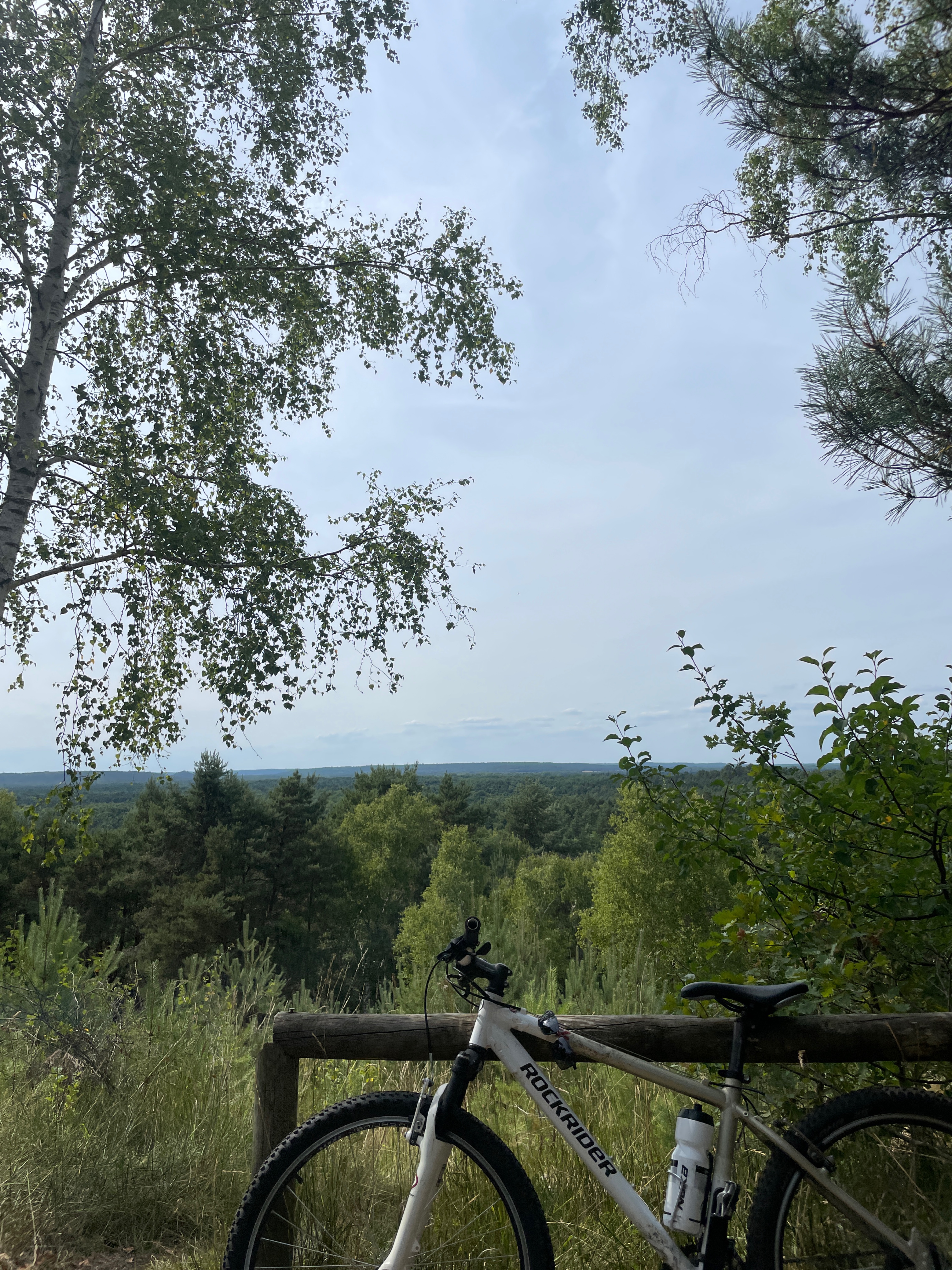 Photo 7 de l’itinéraire Bikemap « Route de la Princesse Marie, Fontainebleau à Route de Montpensier, Fontainebleau »