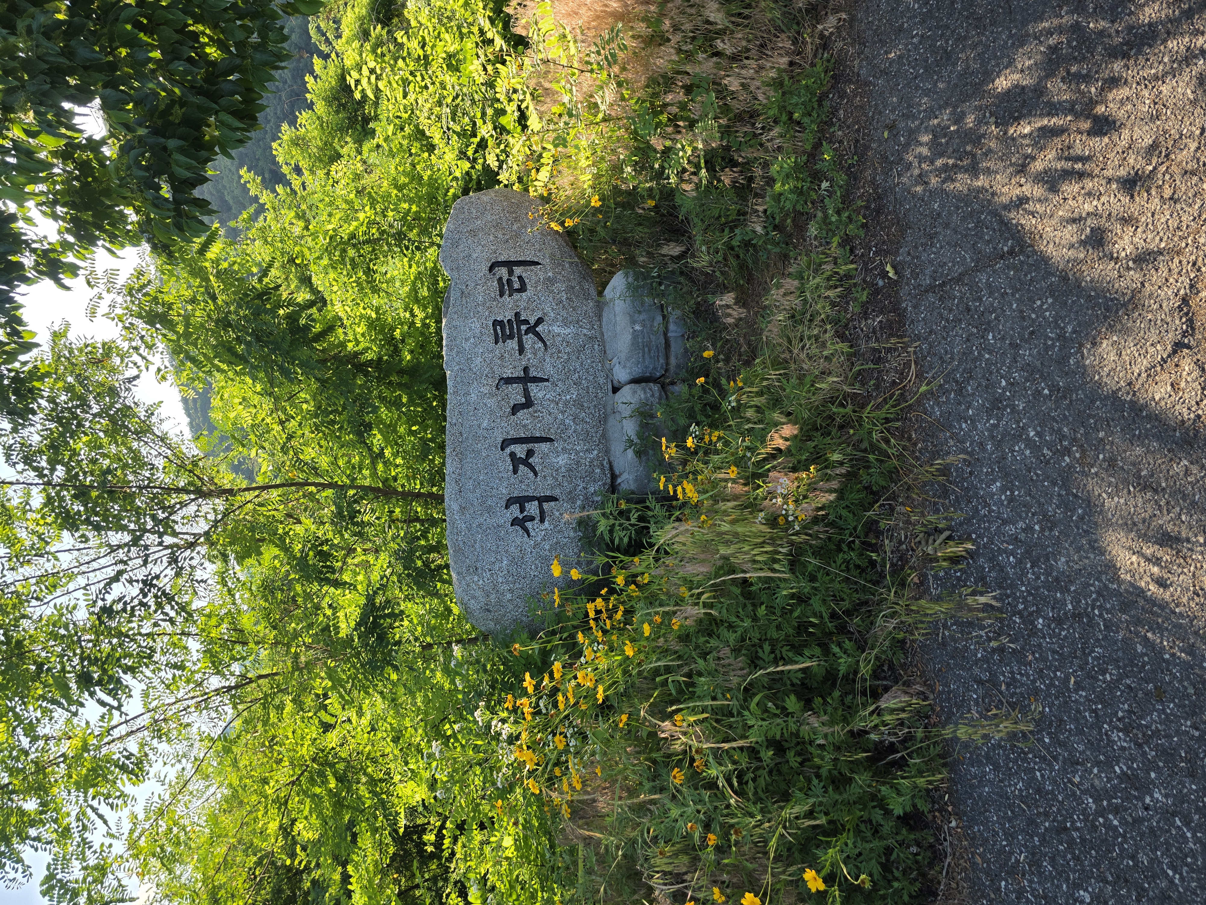 250614토 산책