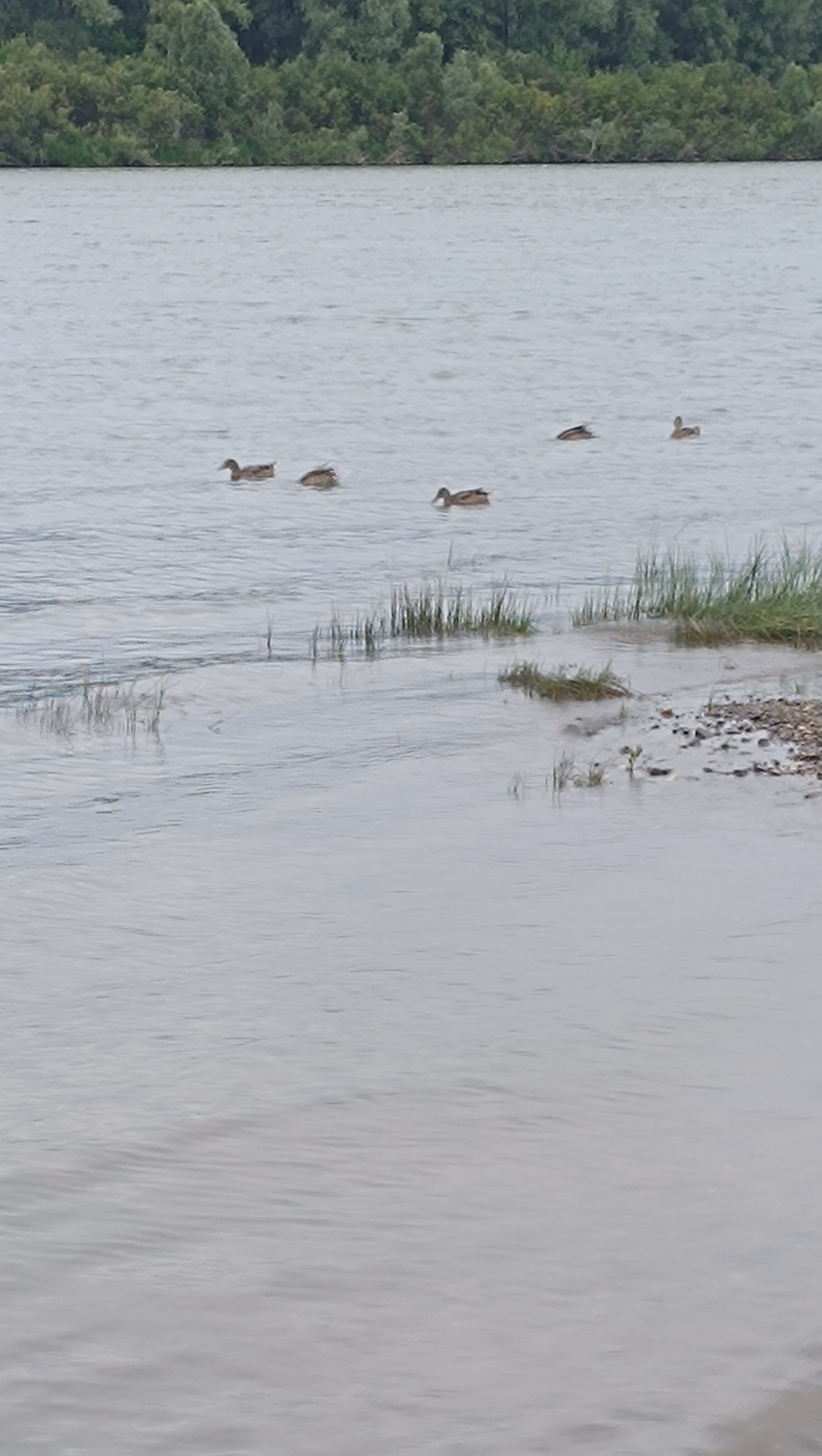 Foto 7 der Bikemap-Route "От улица Шамшурина до улица Шамшурина" Foto 7 der Bikemap-Route "От улица Шамшурина до улица Шамшурина"