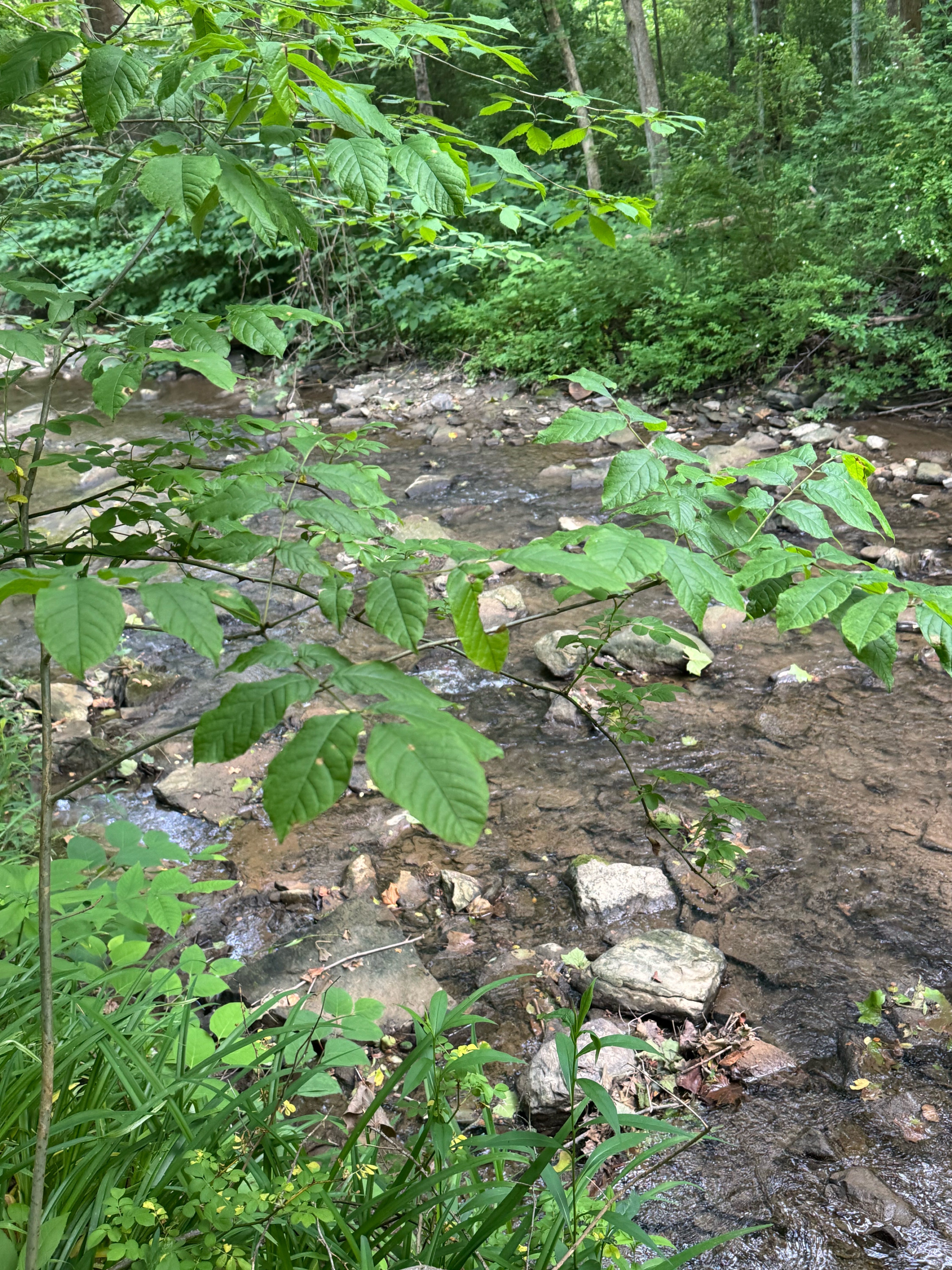 Photo 7 of the Bikemap route "Ohio River Scenic Byway, Steubenville to Woodmont Ave, Steubenville"