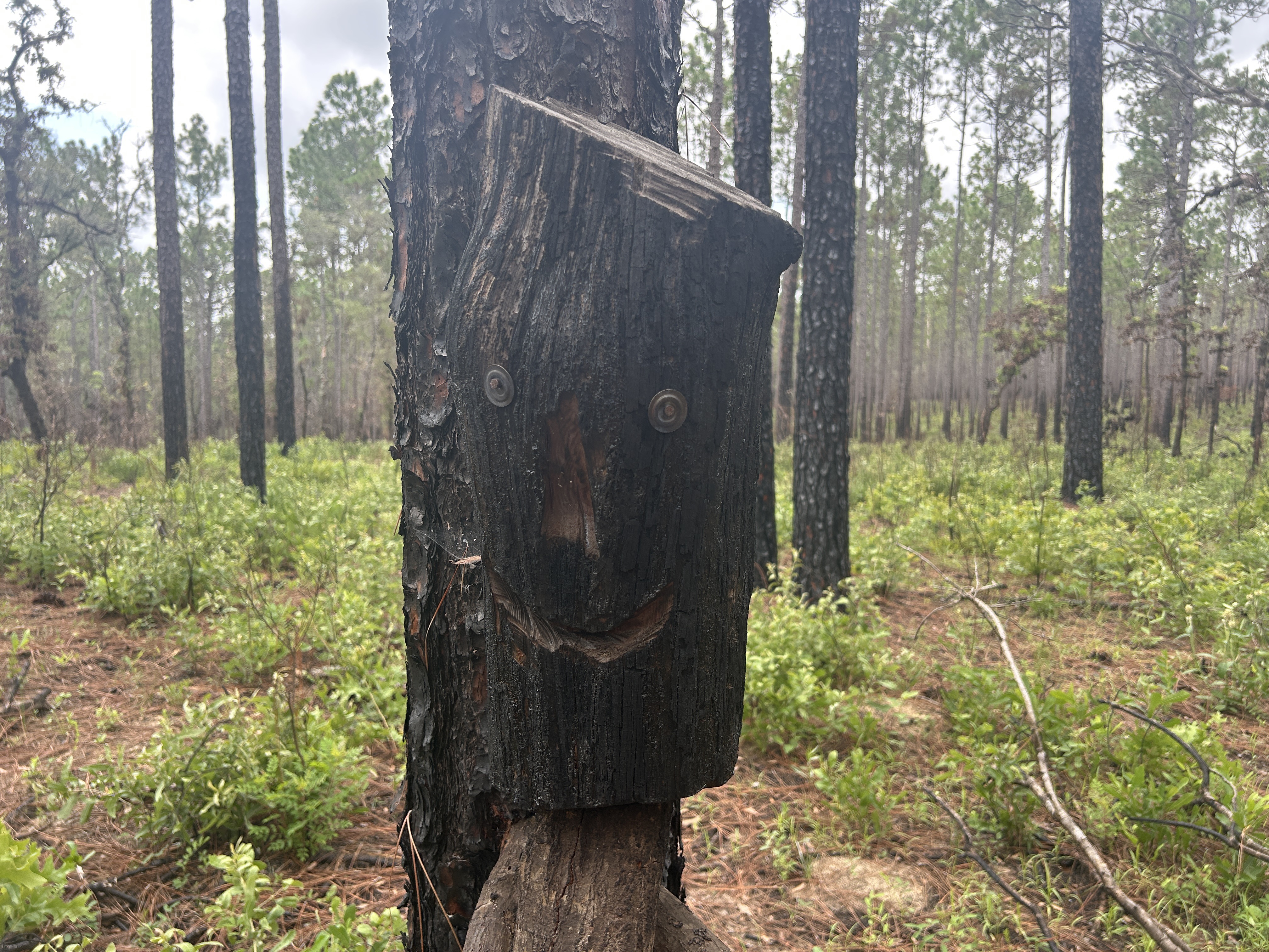 Croom Rital Rd, Brooksville to Withlacoochee State Trail, Brooksville